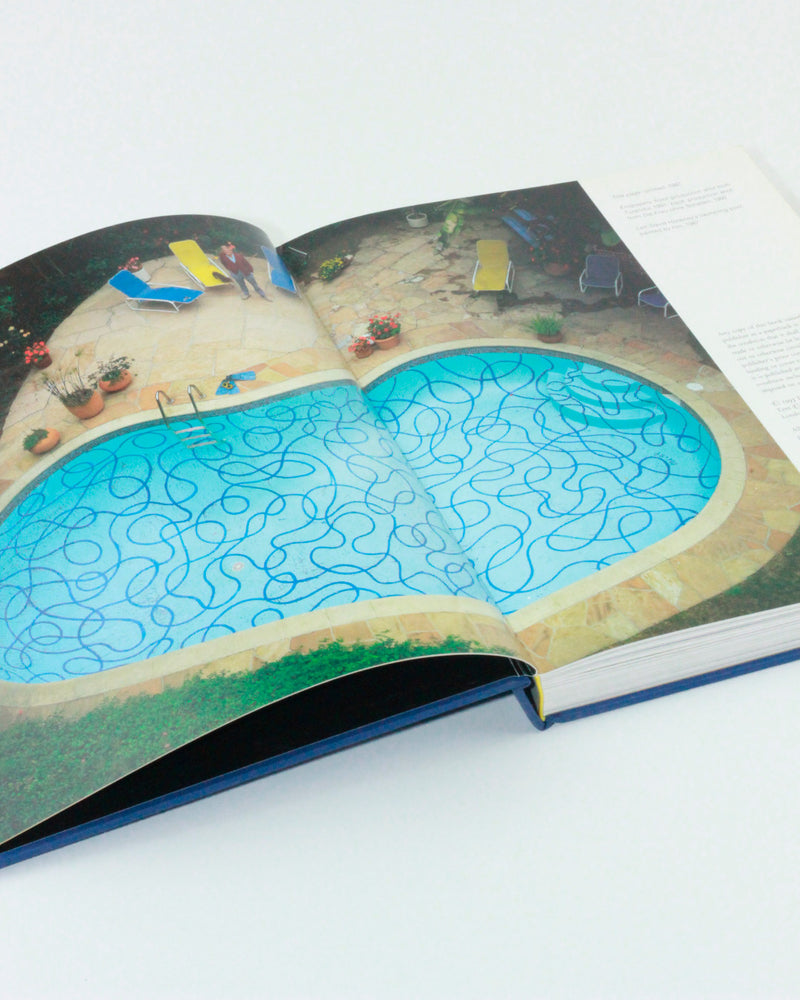 That's the way I see it: David Hockney — top view of pool with blue lines