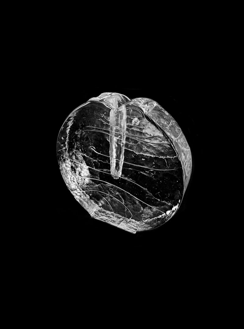 Glass soliflore vase by LA PARADE | The Oblist