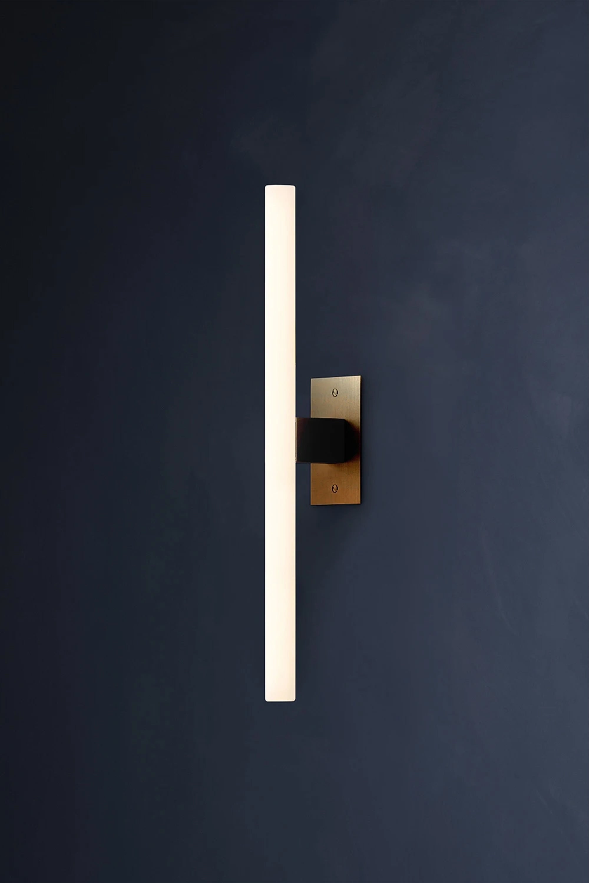 NEA WALL PLATE 50 — side view against dark wall background