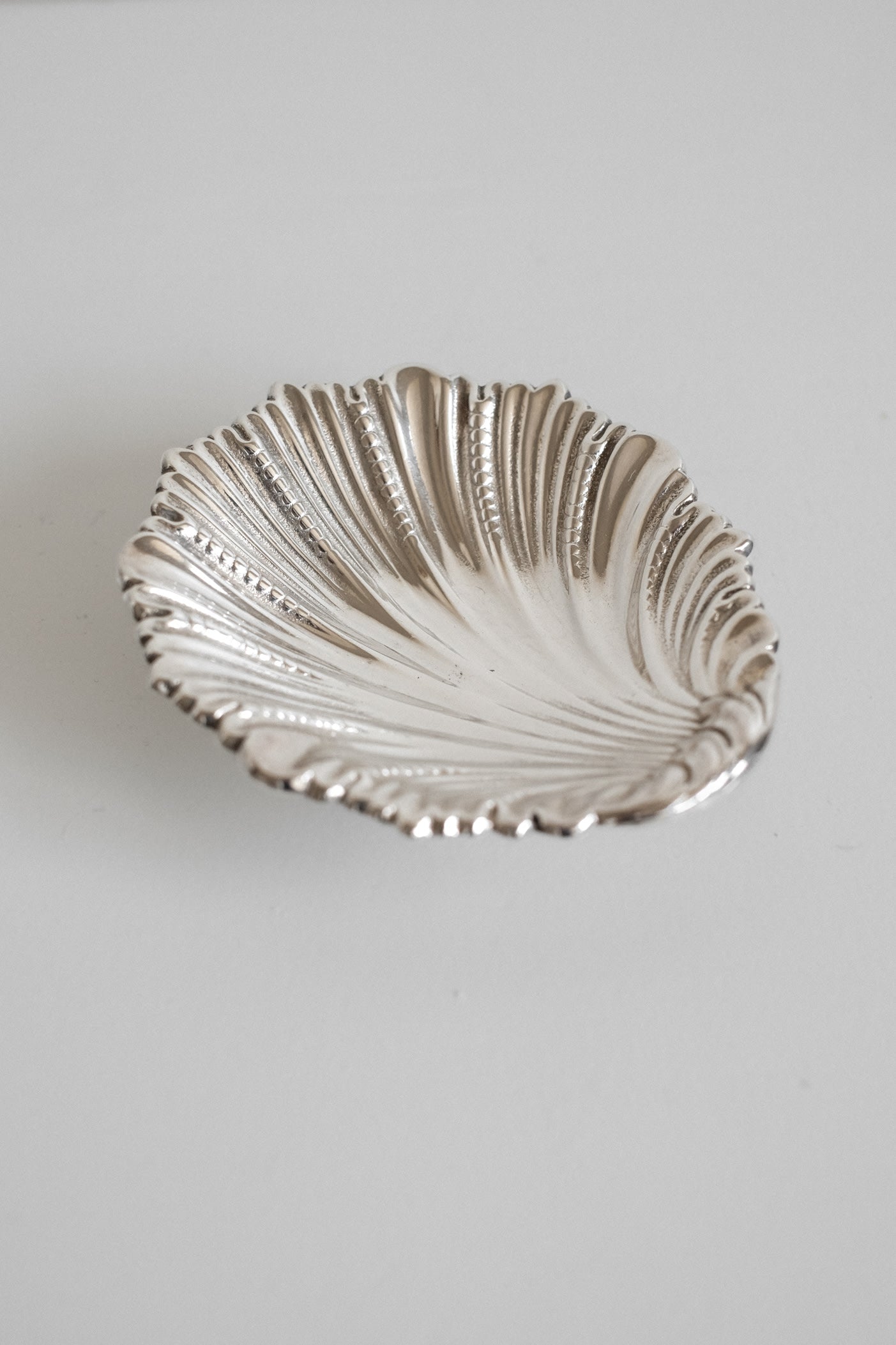 Set of 4 small shell dishes  — lifestyle setting