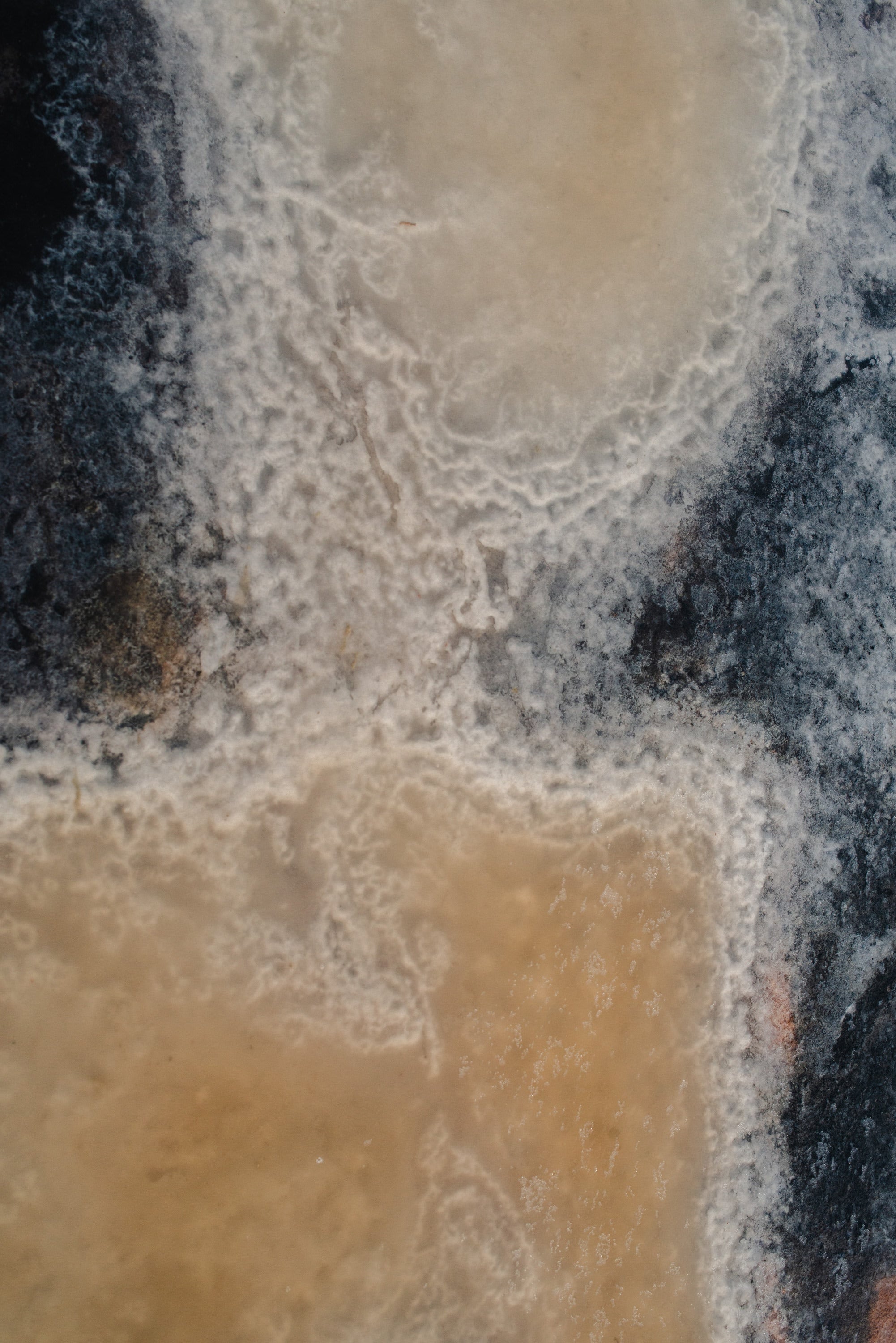 Ses Salines No. 11 — Fine Art Photograph — detail view