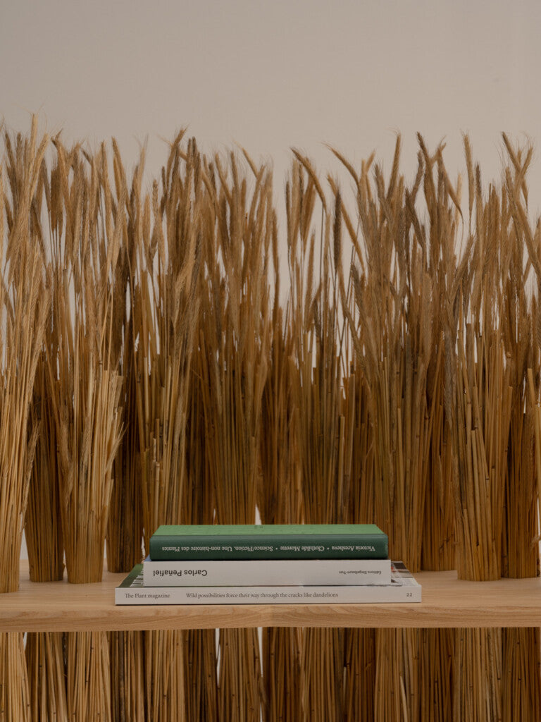 Large Amas Shelf - Ash — top view with books and decorative grass