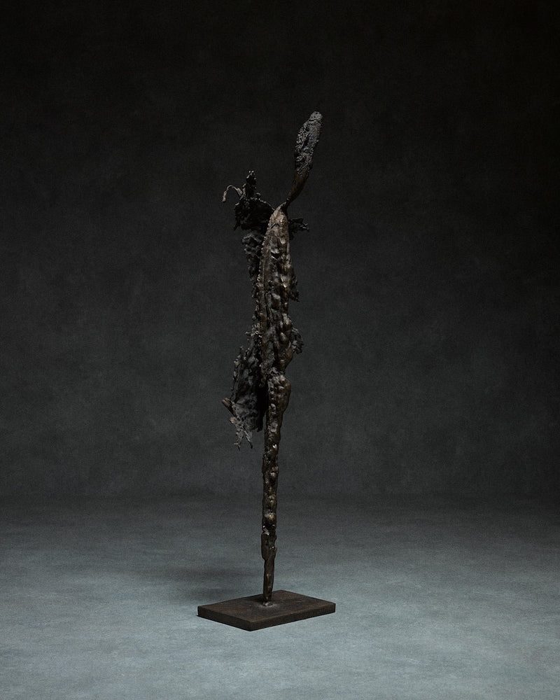 Skeletal Sculpture in Iron by Francois Saison | The Oblist — dark iron material, modern design