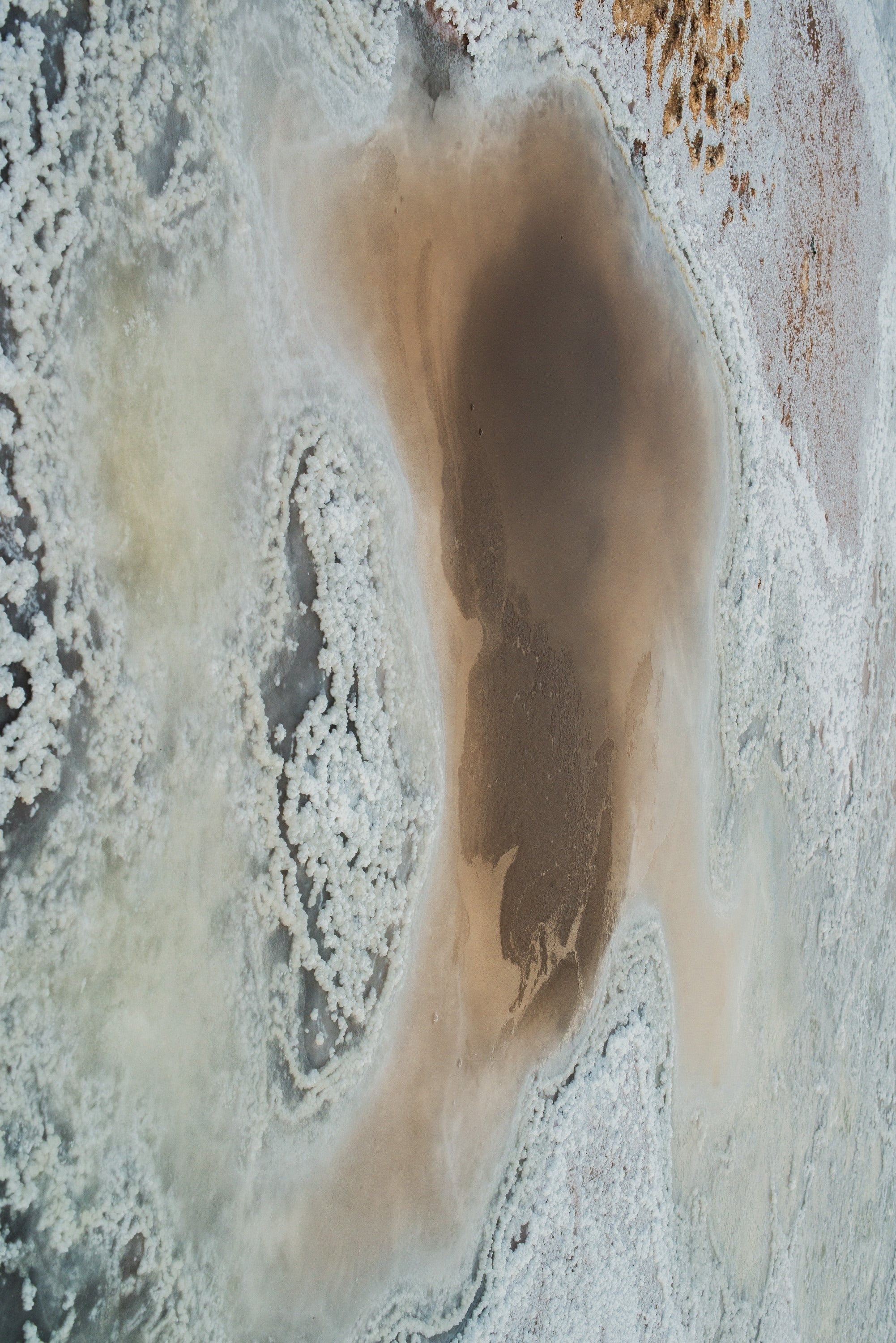 Ses Salines No. 35 — Fine Art Photograph — detail view