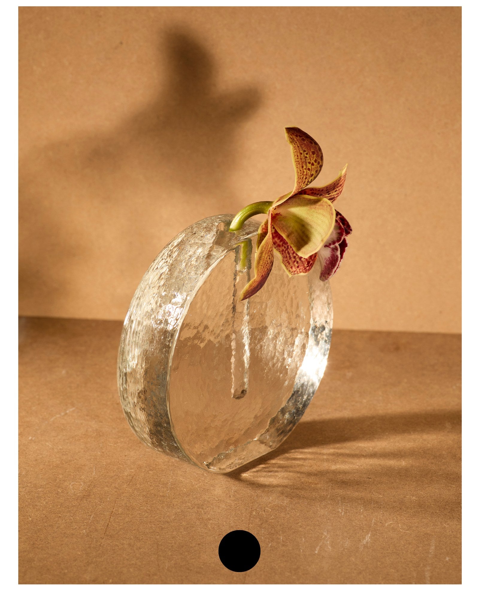 Scandinavian solifleur vase in clear glass c. 1960 — angled view with flower on textured background