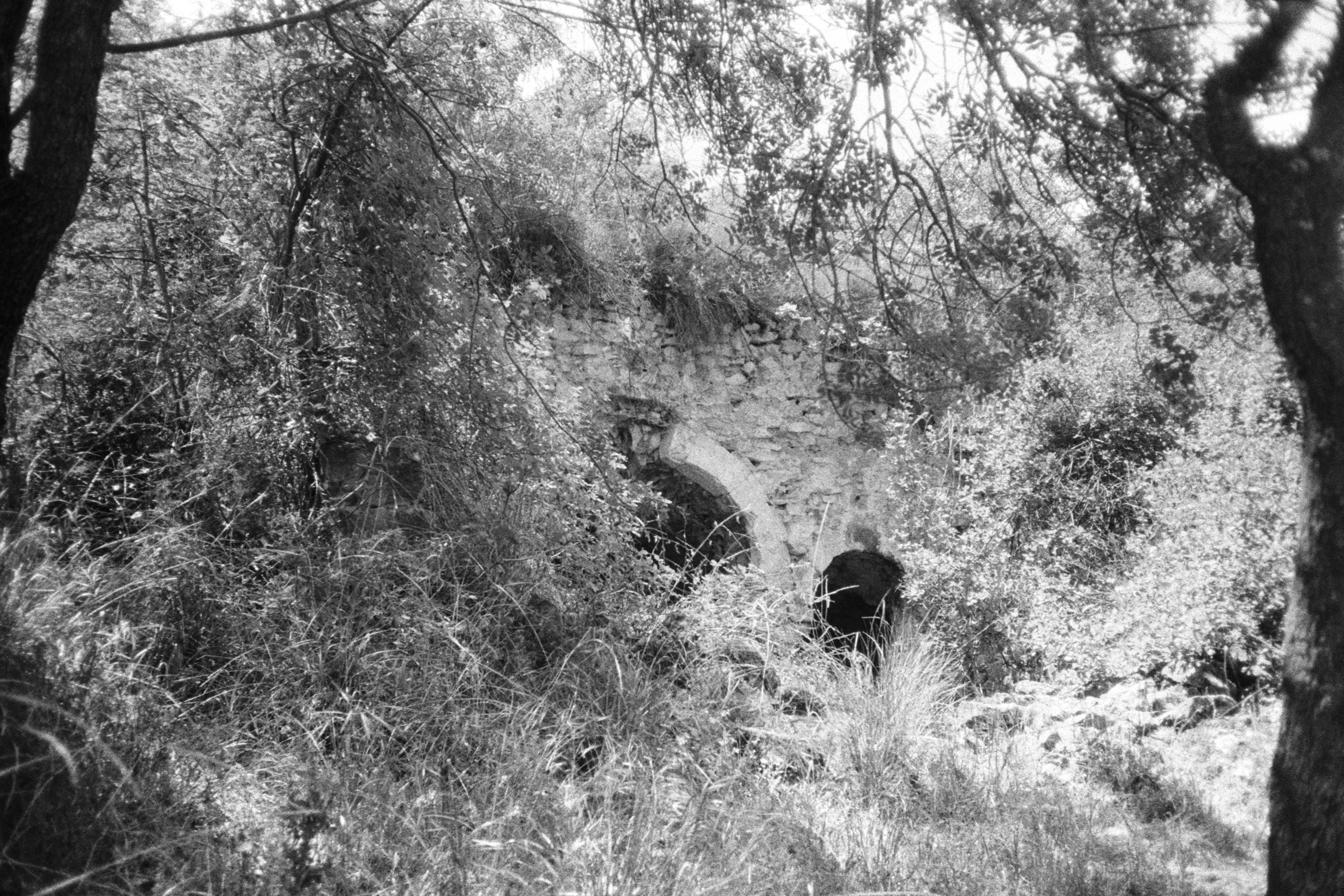 COSEINCORSO’s Memory #10 — Contemporary Photography features a black and white print of an old stone archway hidden by wild vegetation, with sunlight filtering through the branches. Presented in an elegant aluminium frame.