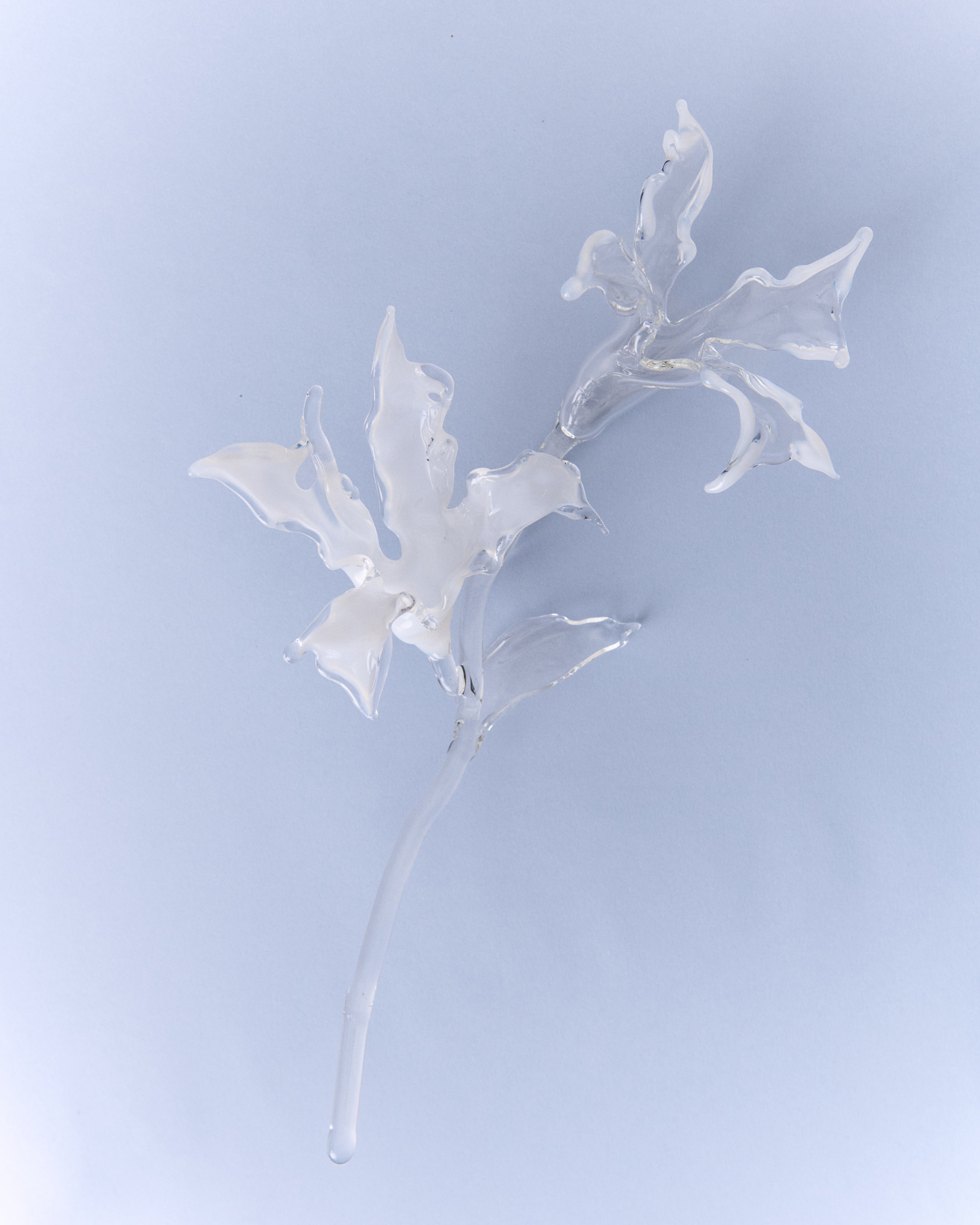 Glass Flower Organic Sculpture Bouquet — side angle