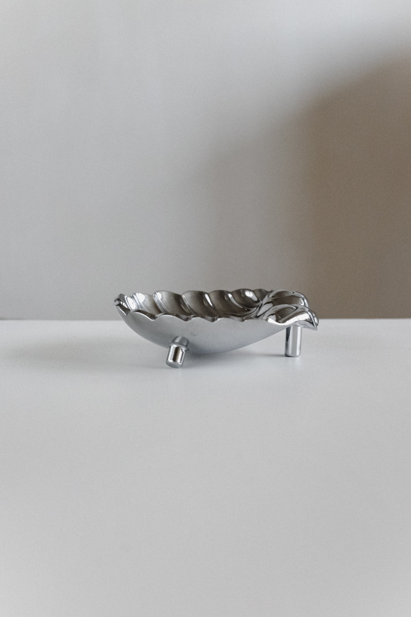 Set of 2 Shell Decorative Bowls — top view of silver metal bowl