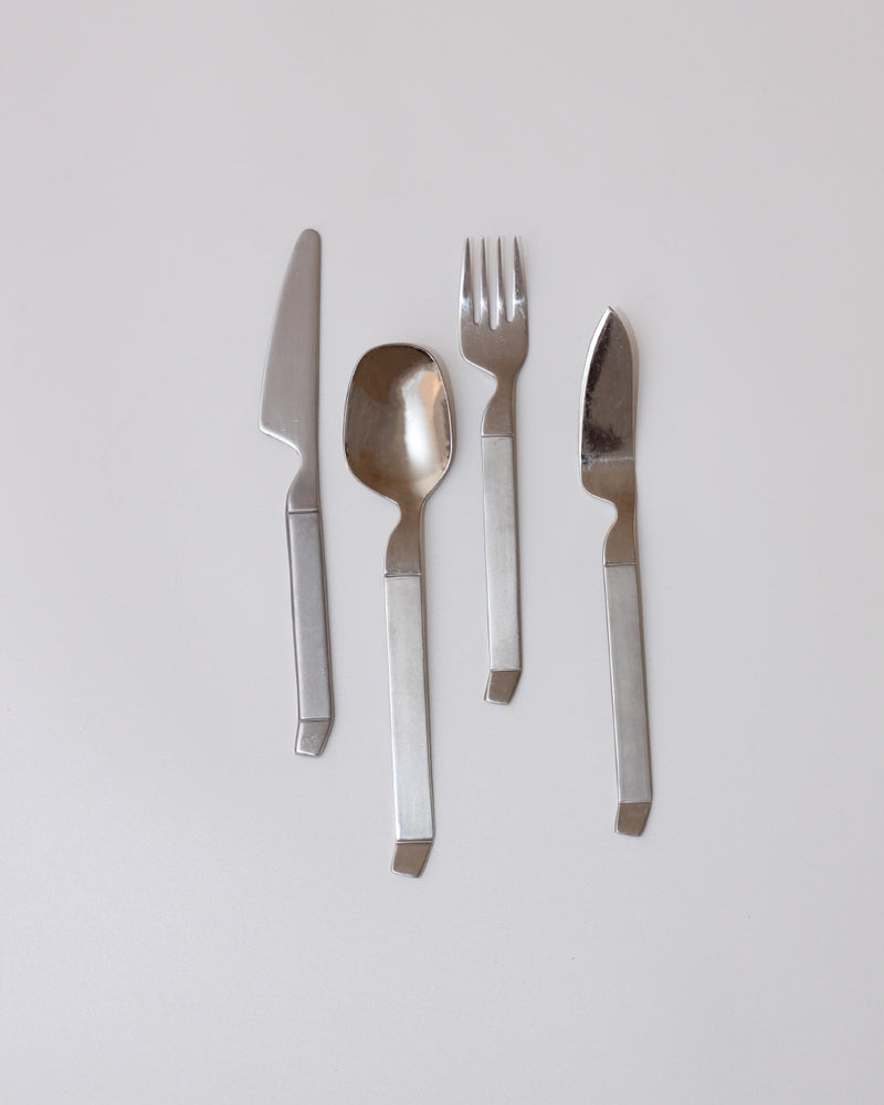 Stainless Steel Cutlery Set — close-up of polished utensils on white background