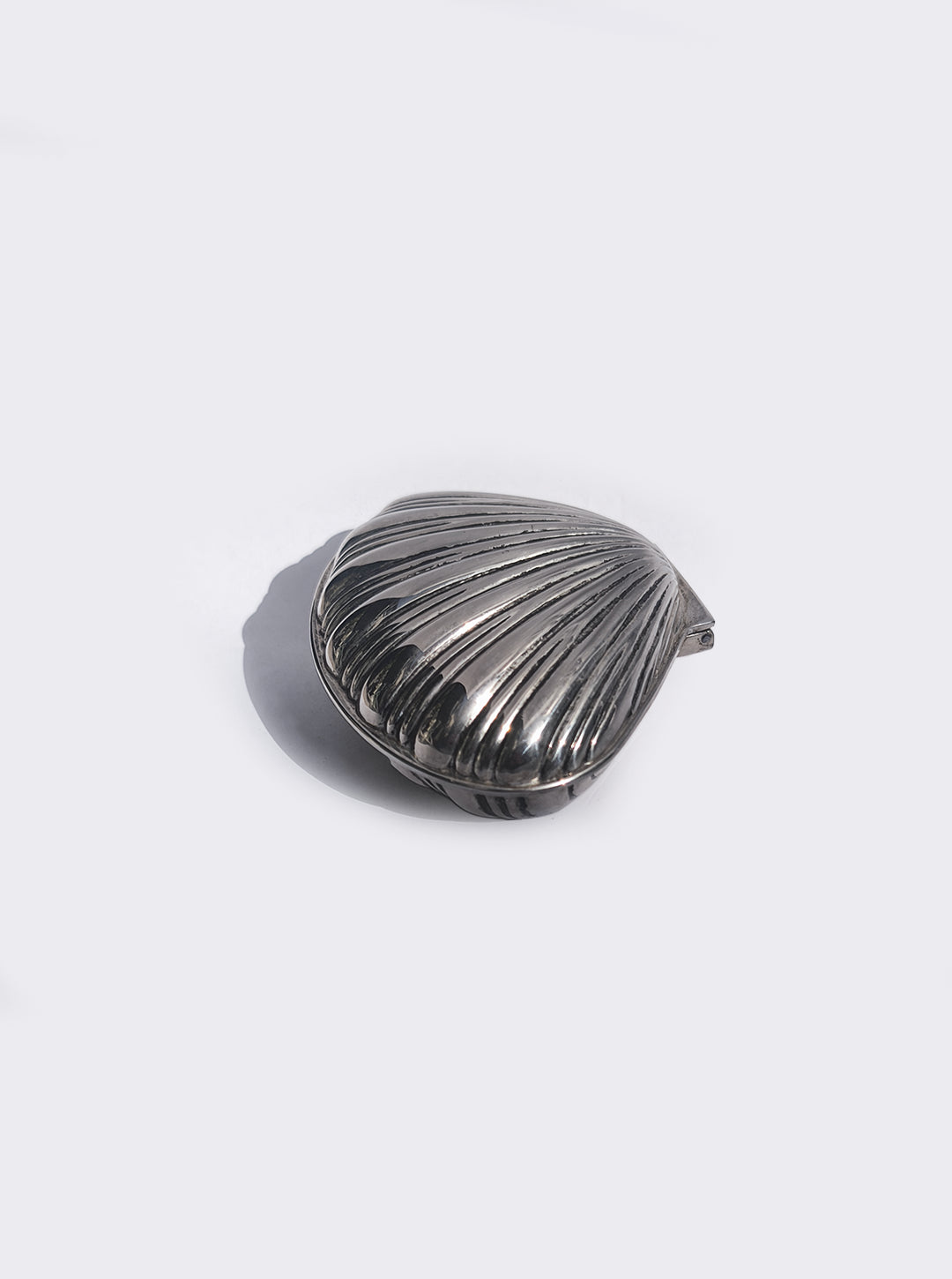 Shell Box — close-up