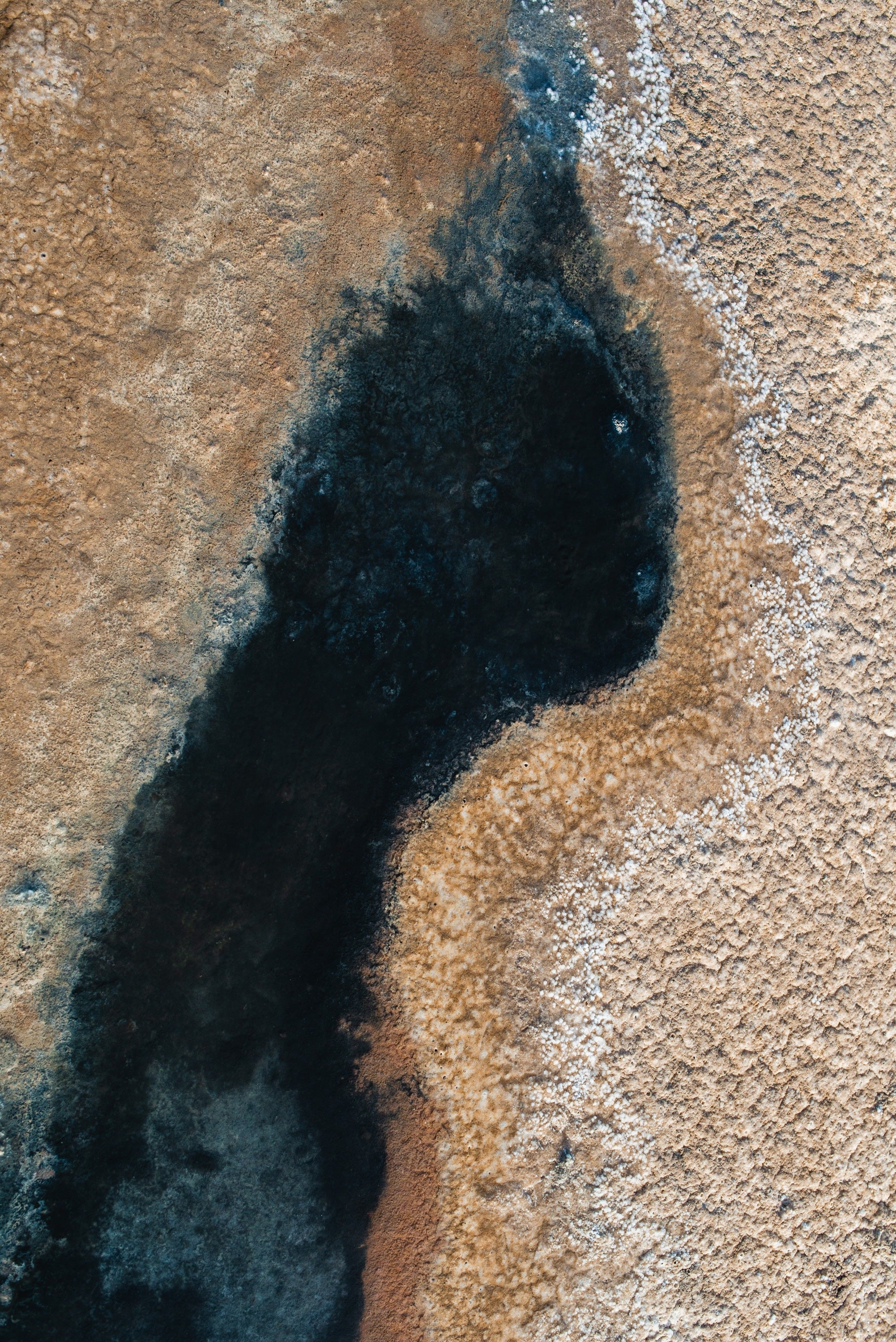 Ses Salines No. 20 — Fine Art Photograph — detail view