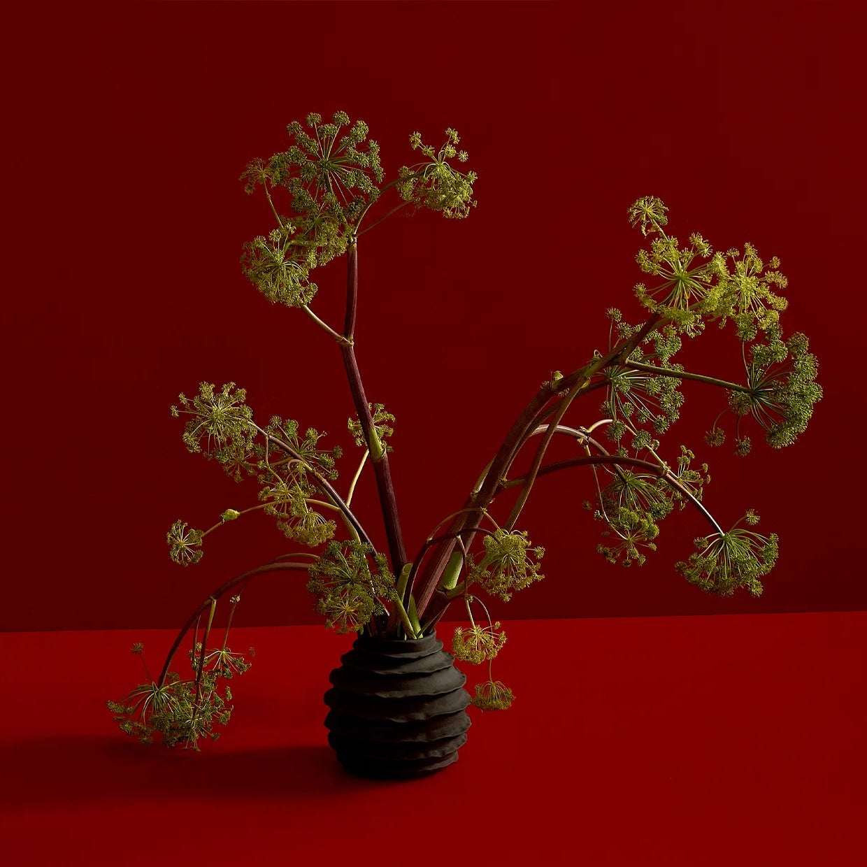 Holiday Vase in Shiny White — in context