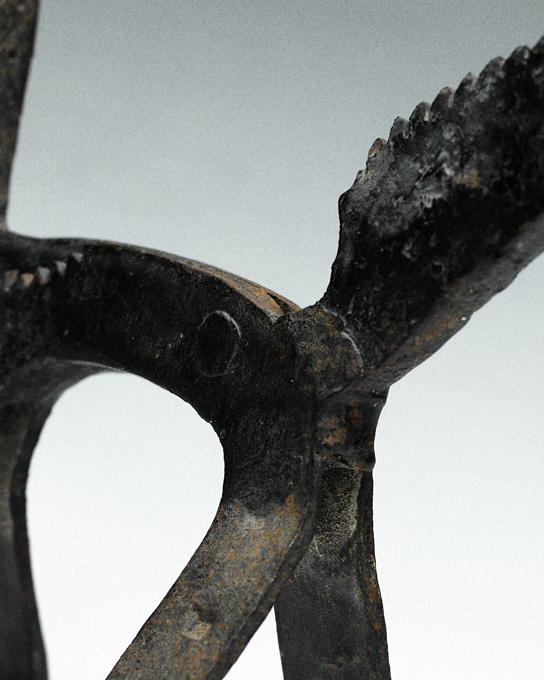 brutalist nutcracker, donkey — close-up of textured metal surface