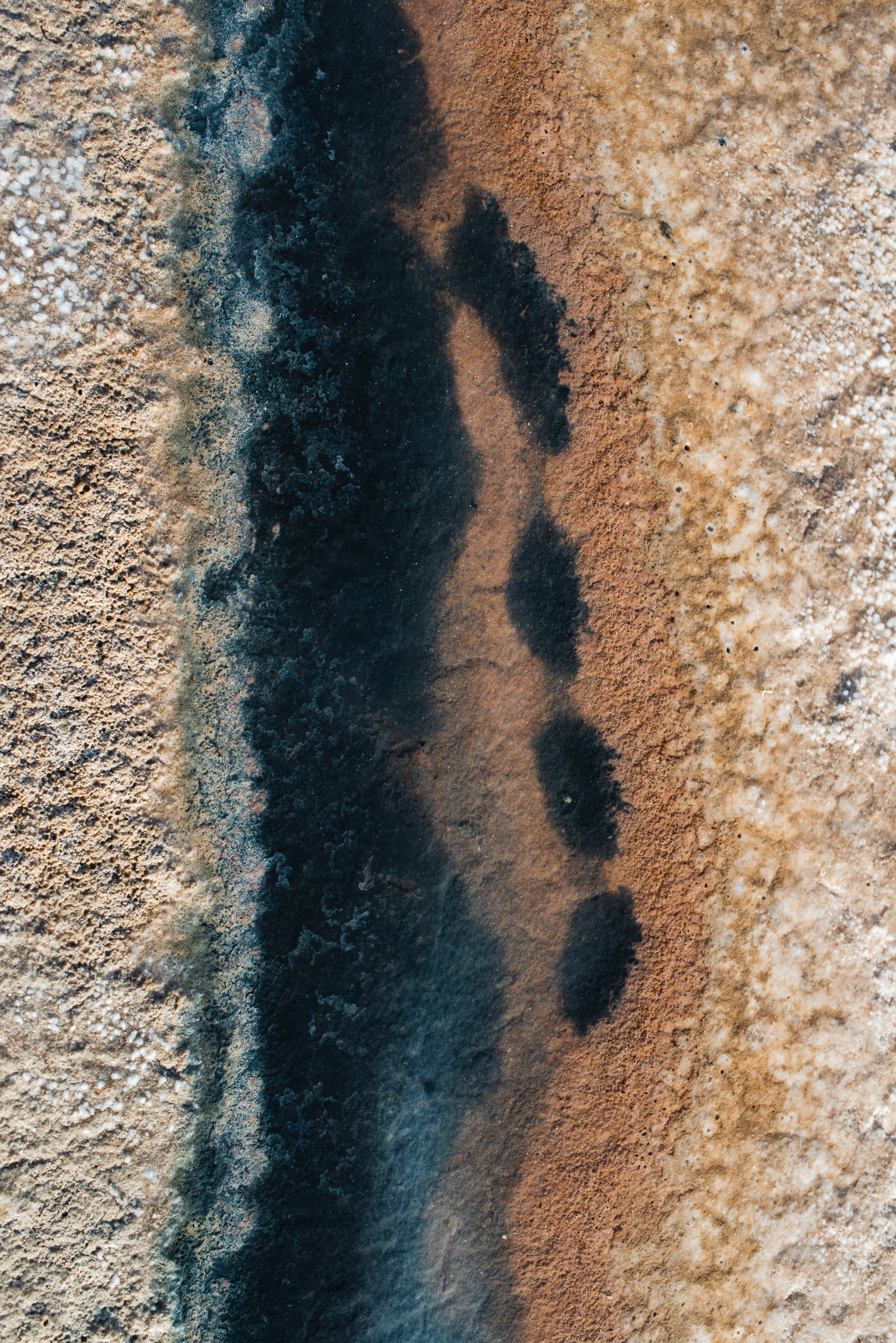 Ses Salines No. 19 — Fine Art Photograph — detail view