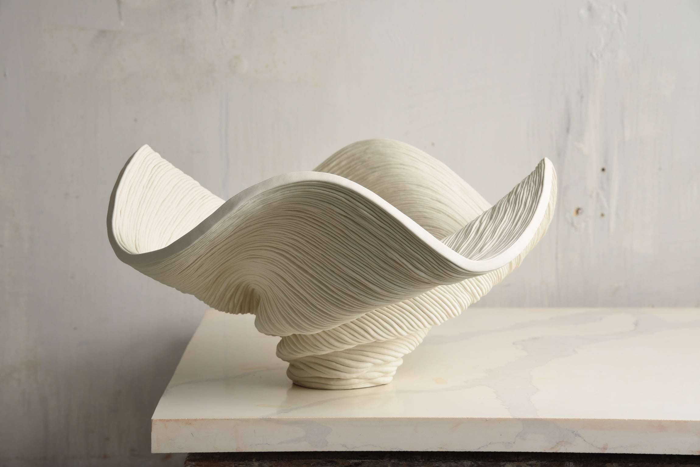 Wide Porcelain Bowl — alternate view