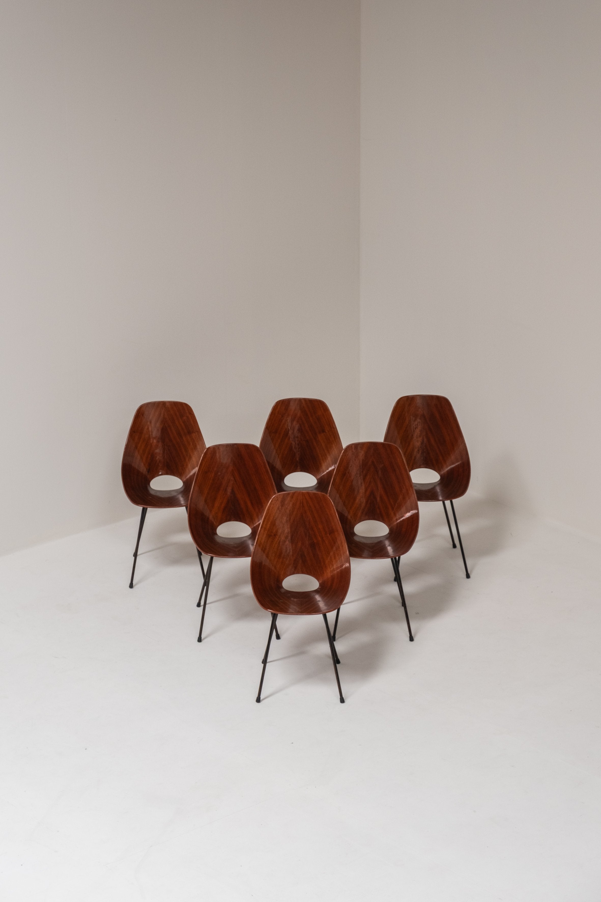 Set of 6 Medea Chairs by Vittorio Nobili, Italy, 1955 — lifestyle setting