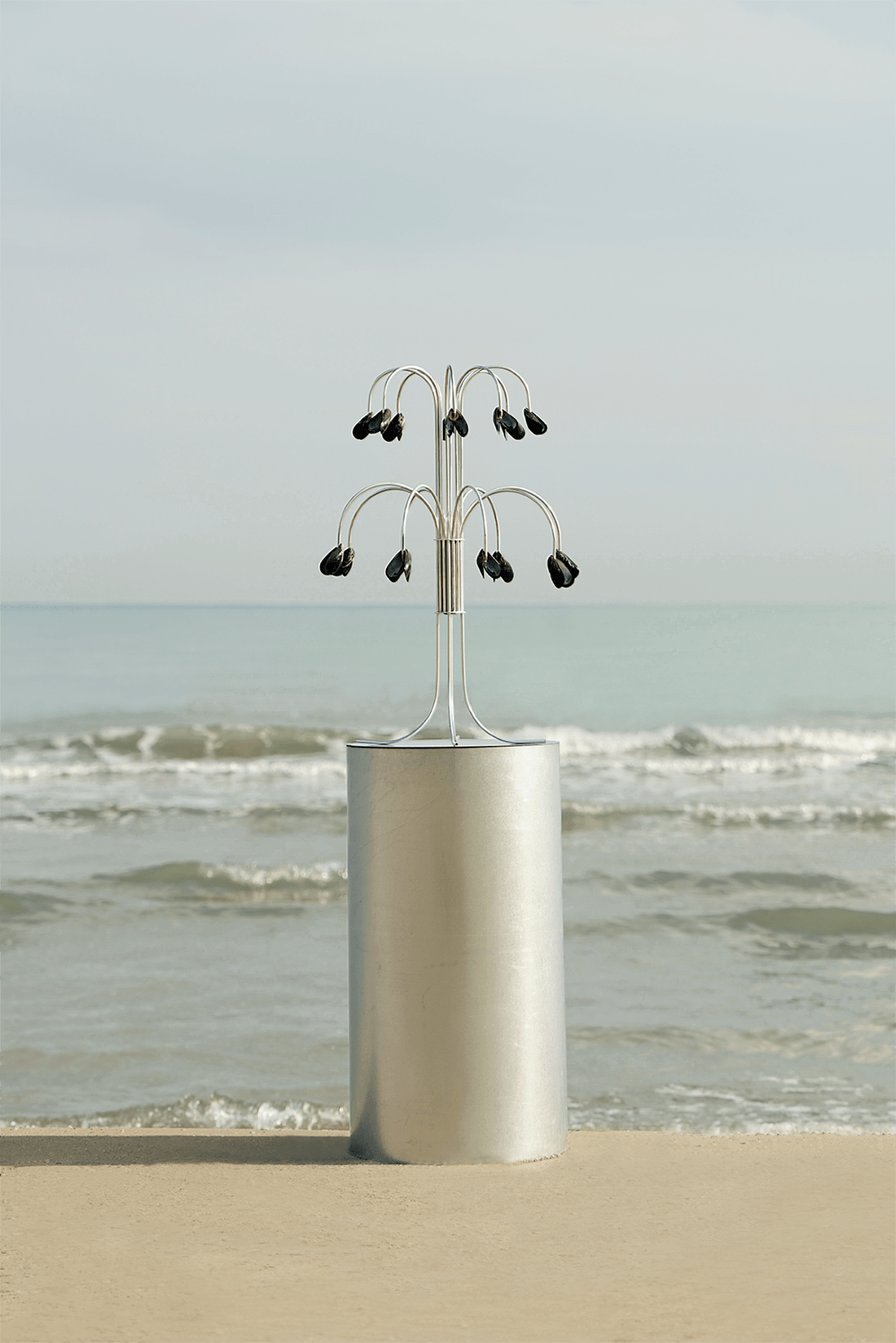 Shell Light — side angle
