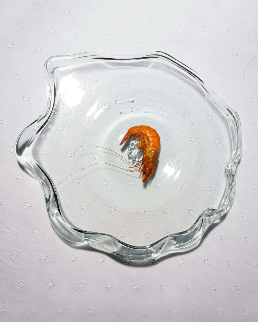 A single cooked shrimp with long antennae sits at the center of Completedworks’ Pond - Recycled Glass Serving Plate in Clear, displayed atop a white tablecloth with a subtle floral pattern.