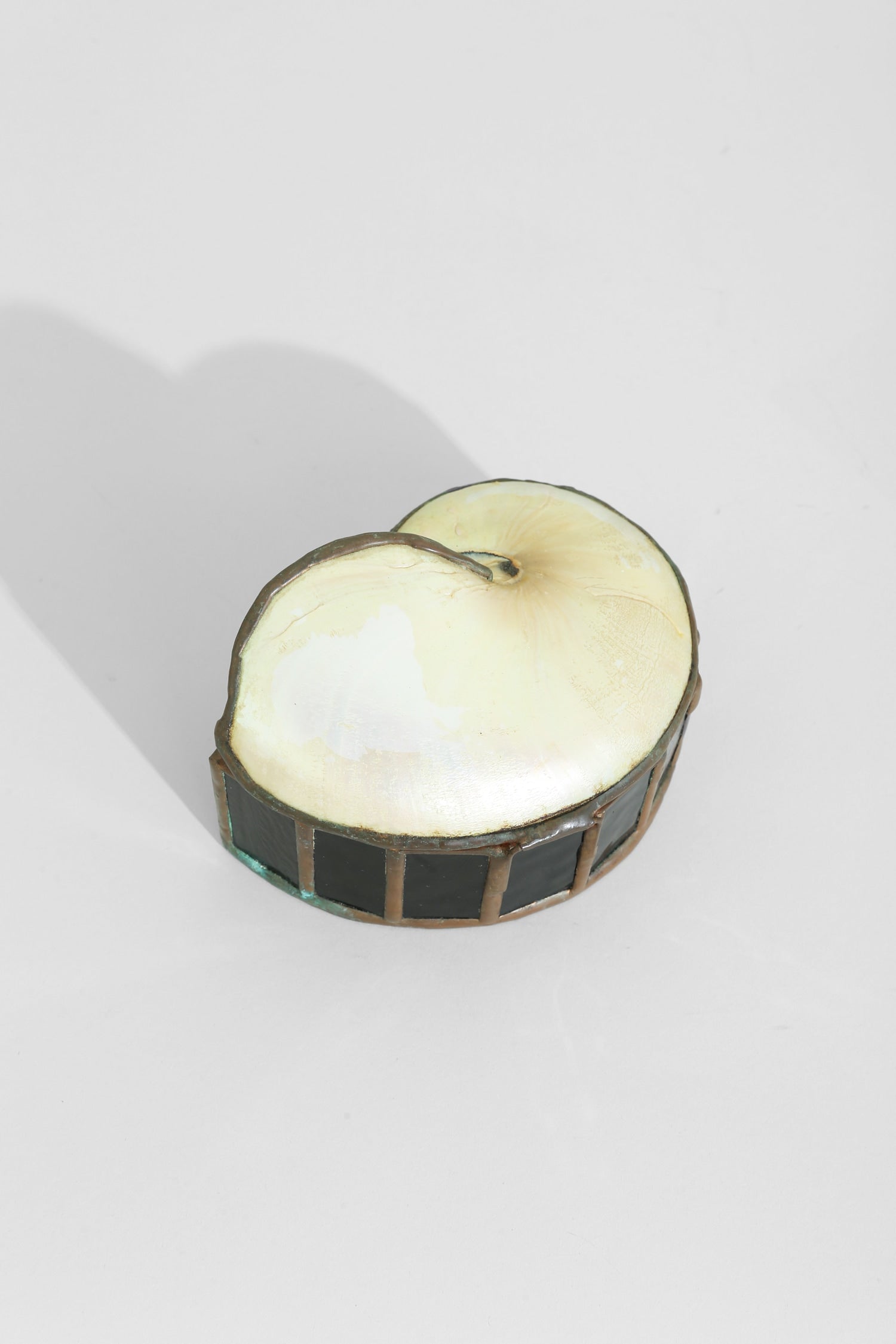 Nautilus Shell Jewelry Box — detail view