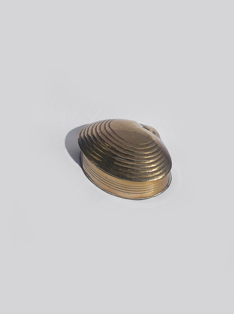 Shell Brass Box by Les Objoies | The Oblist
