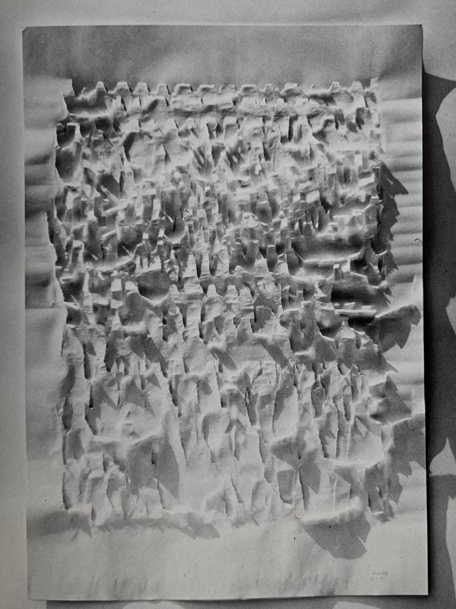 Deutscher Künstlerbund’un 36. Jahresausstellung - Vintage Art Catalog Book — detail view