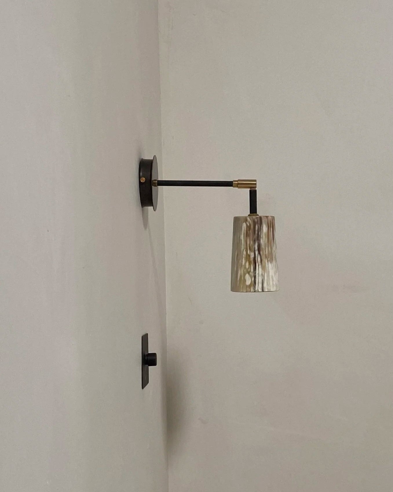 Horn Wall Light — side view showing horn shade and metal arm