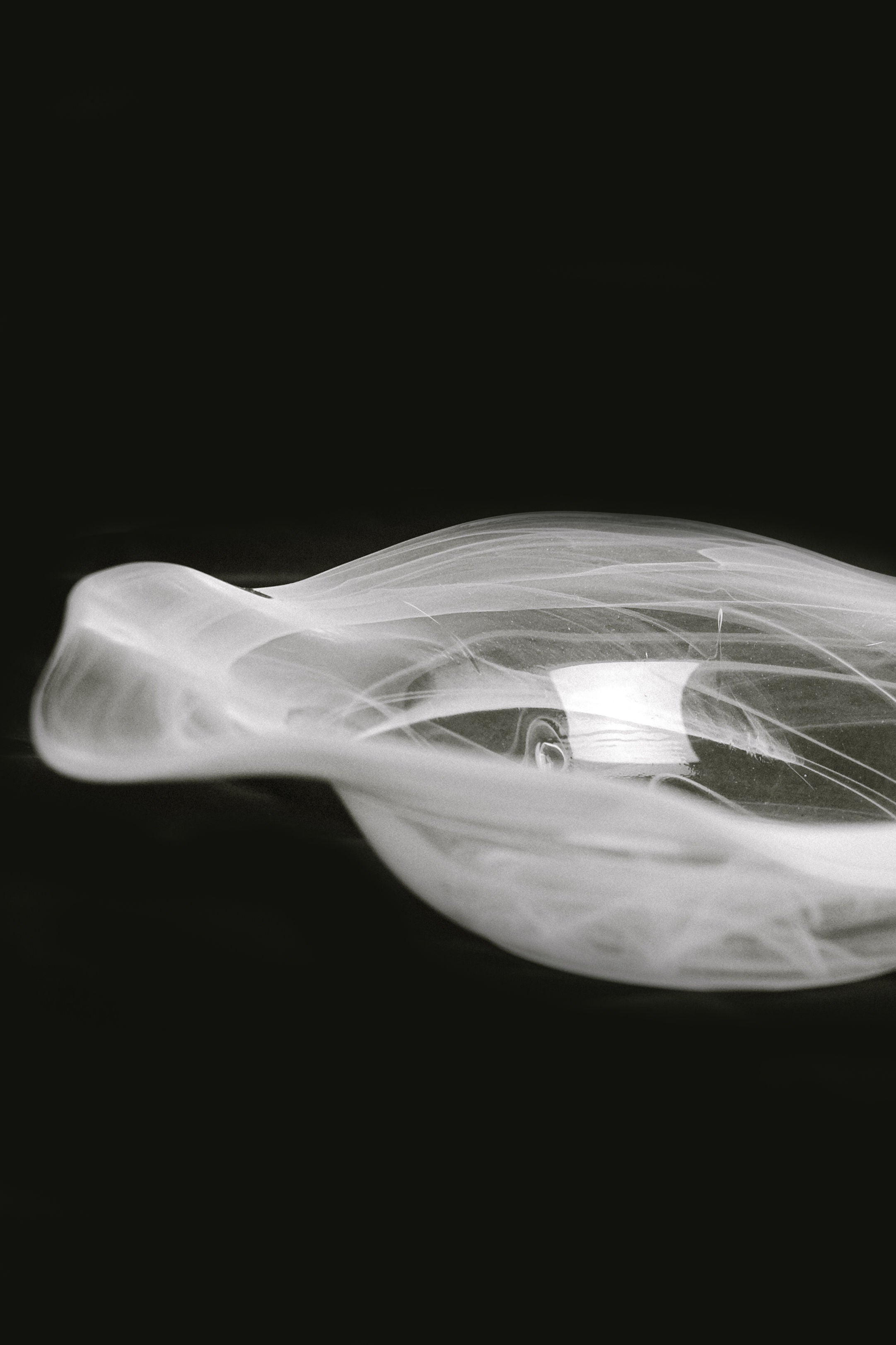 Swirl Glass Bowl — side view highlighting translucent glass design