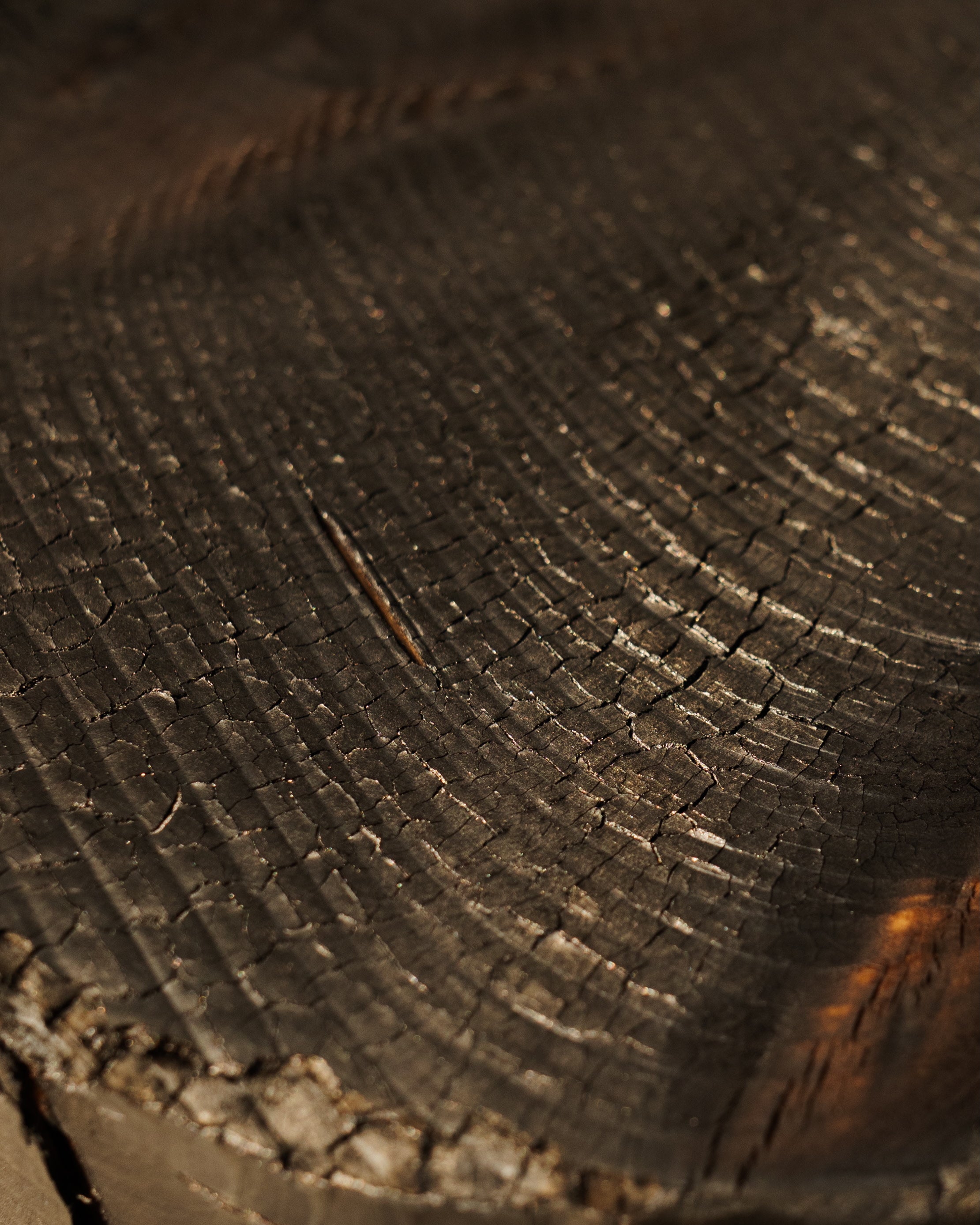 ABORA, End Table in Burnt Wood