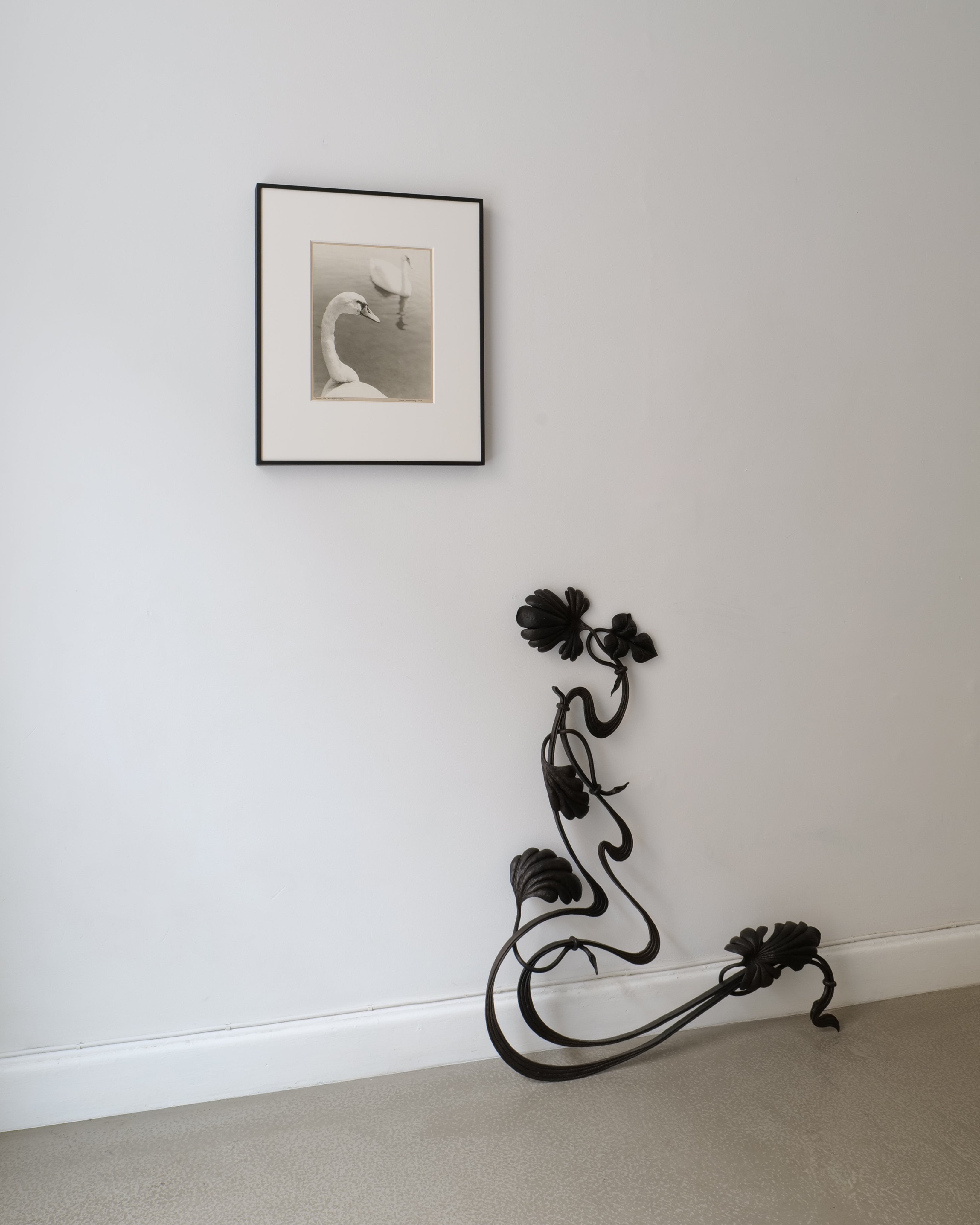 Hans Malmberg Swans Photograph 1968