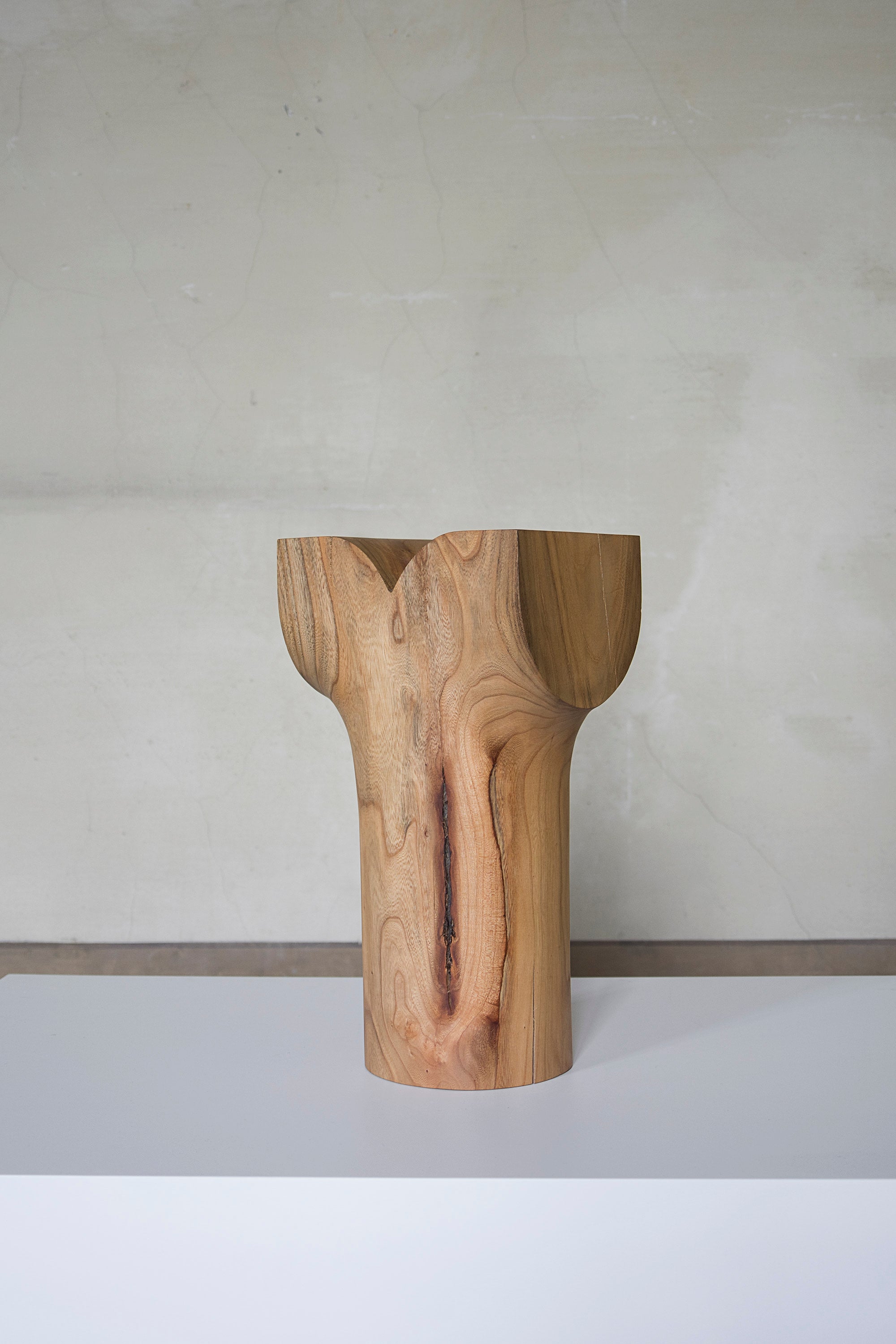 Sculpture from Wood Washed Out by the Sea — side angle