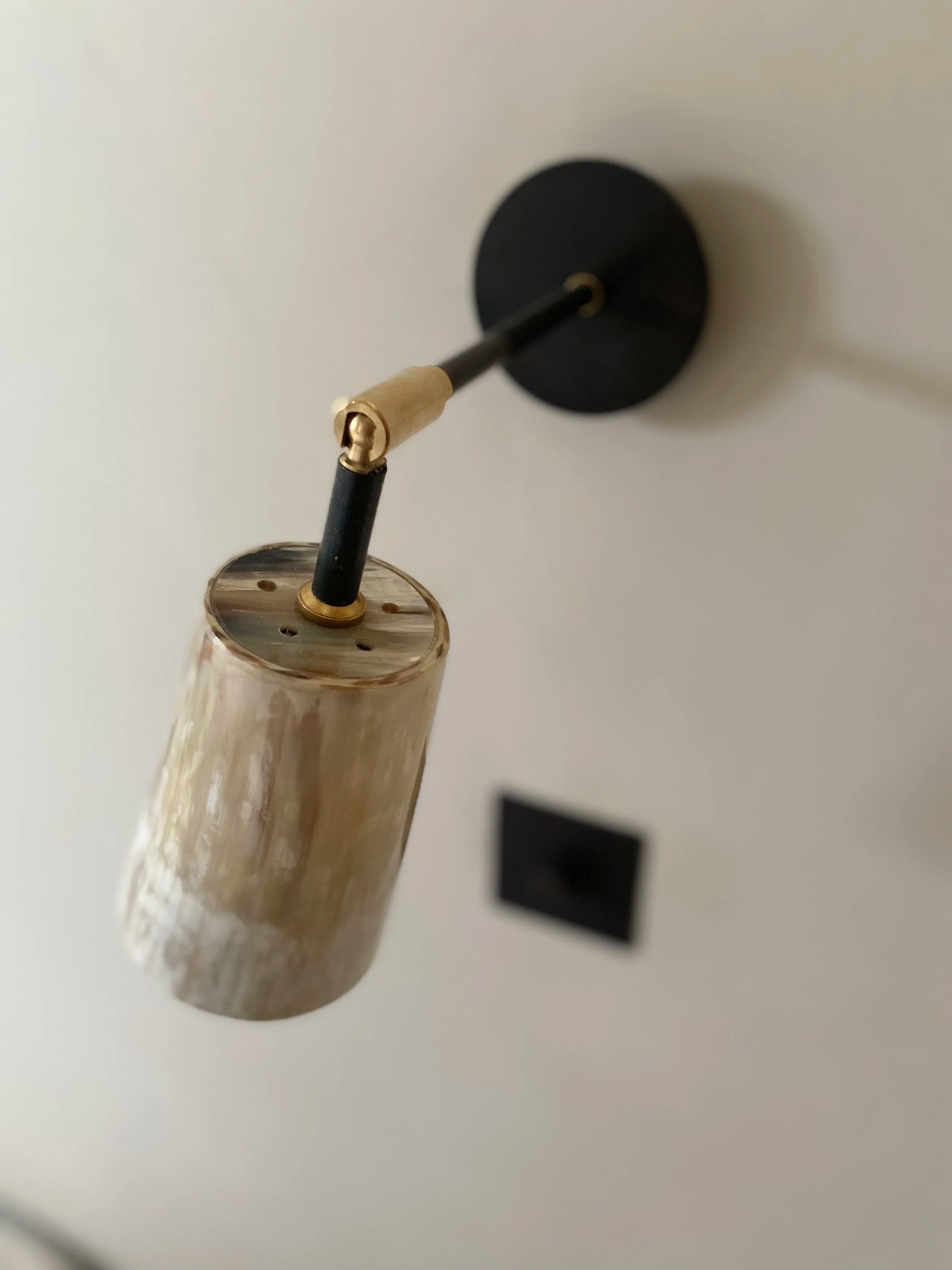 Horn Wall Light in Brass — side angle