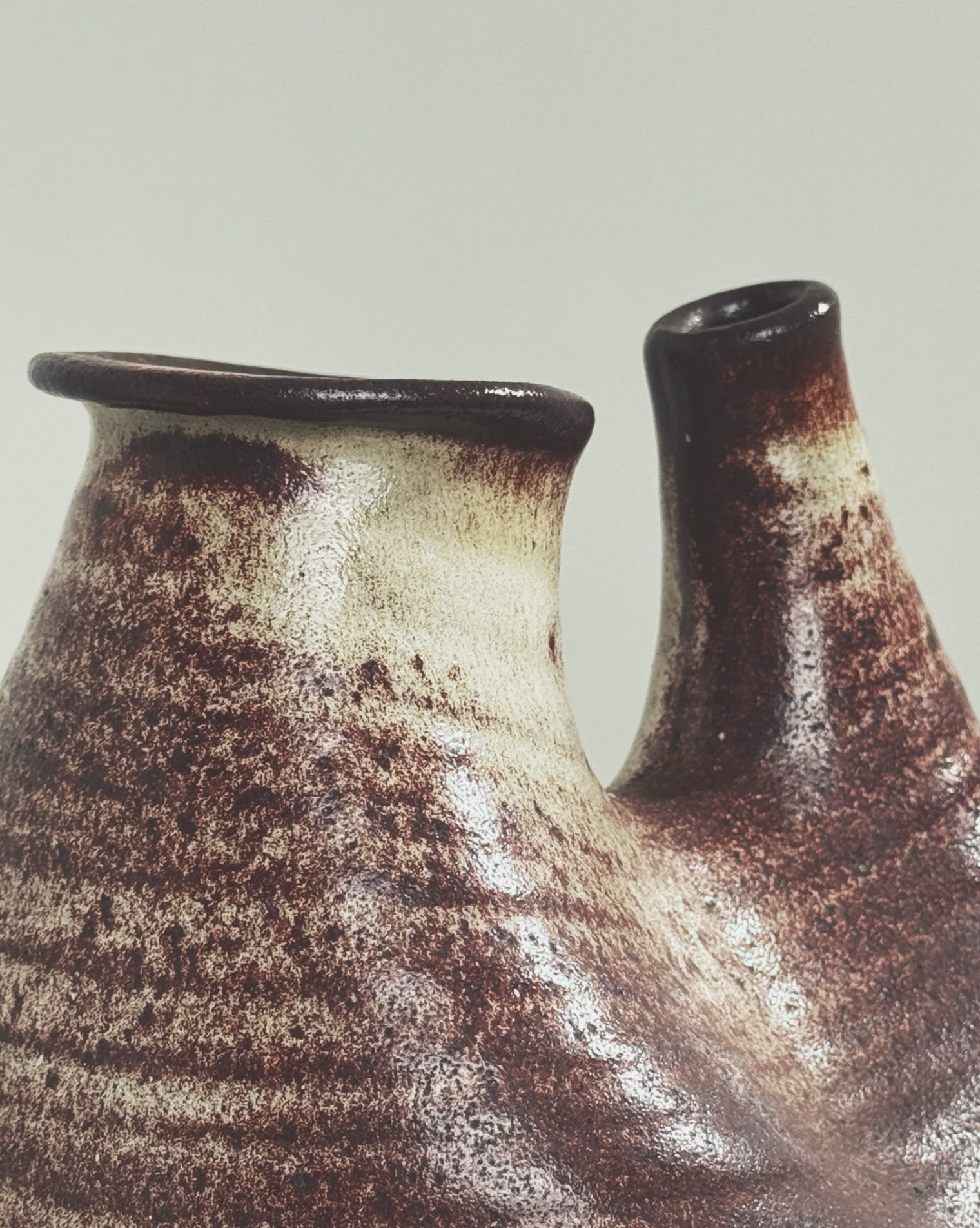 Close-up detail of glazed ceramic Accolay zoomorphic vase texture