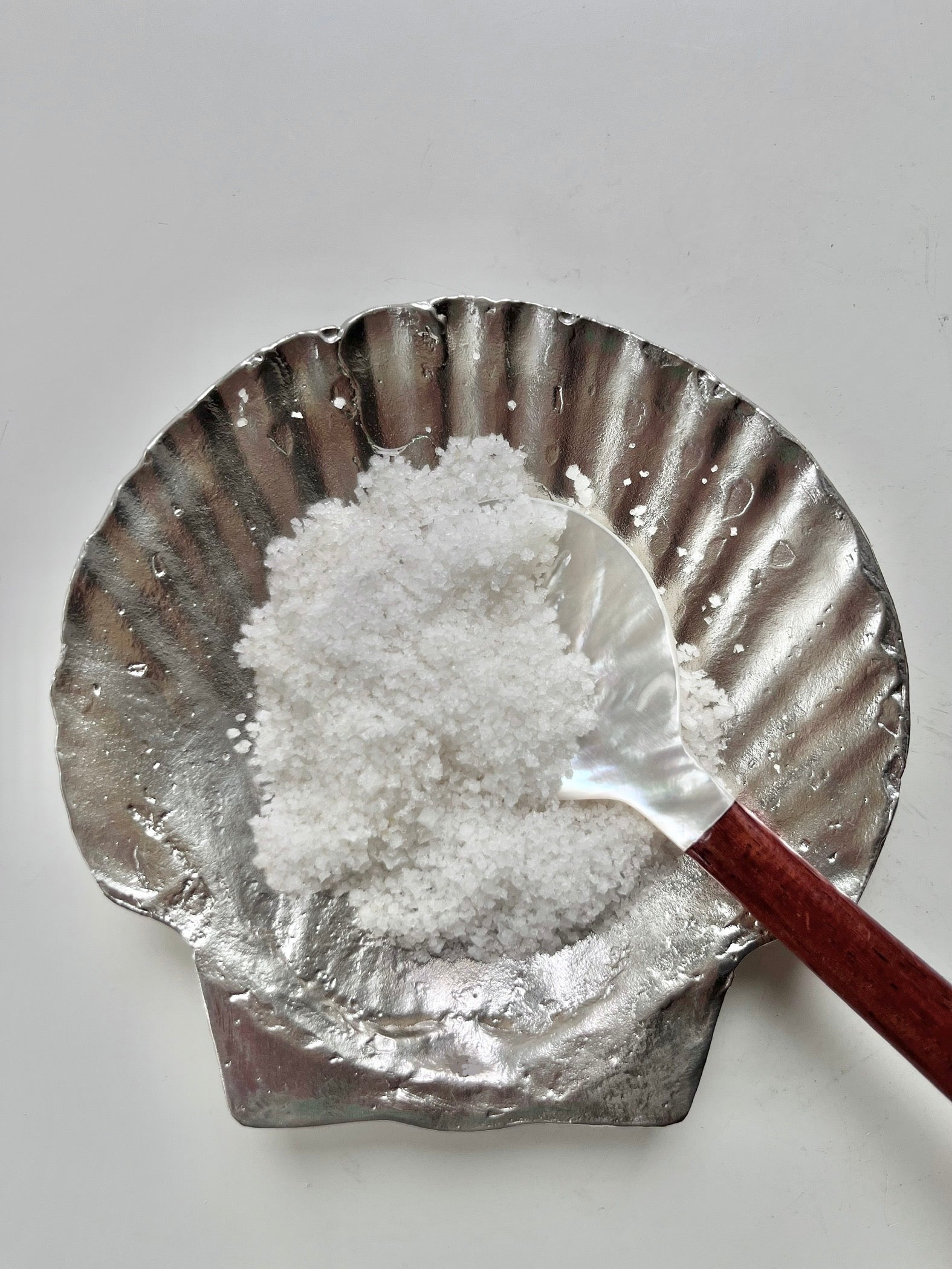 Fossil Shell Plate in Silver