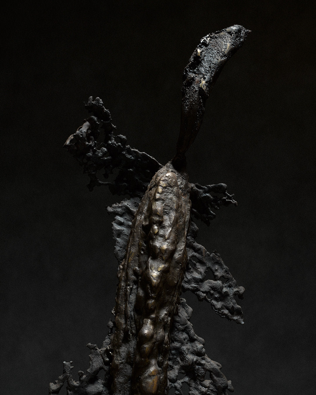 Skeletal Sculpture in Iron by Francois Saison — close-up of textured iron surface