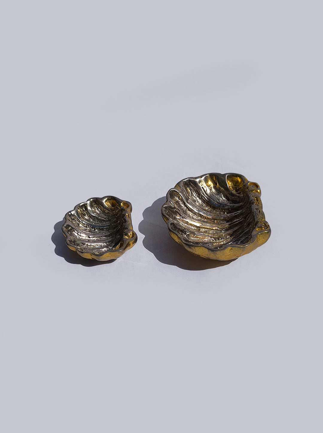Duo of Brass Shell Vide Poches by Les Objoies | The Oblist