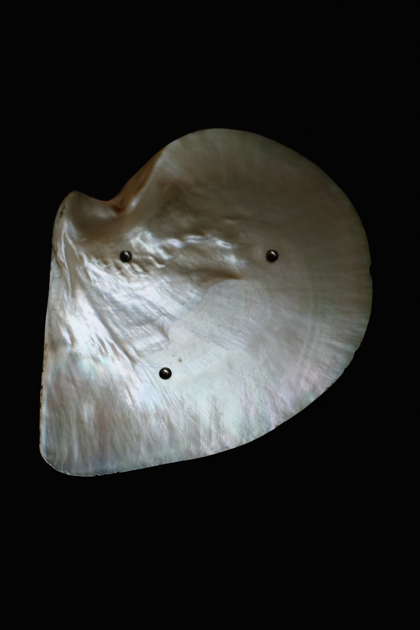 Mother-of-pearl Shell Vide-poches — top view highlighting iridescent shell texture