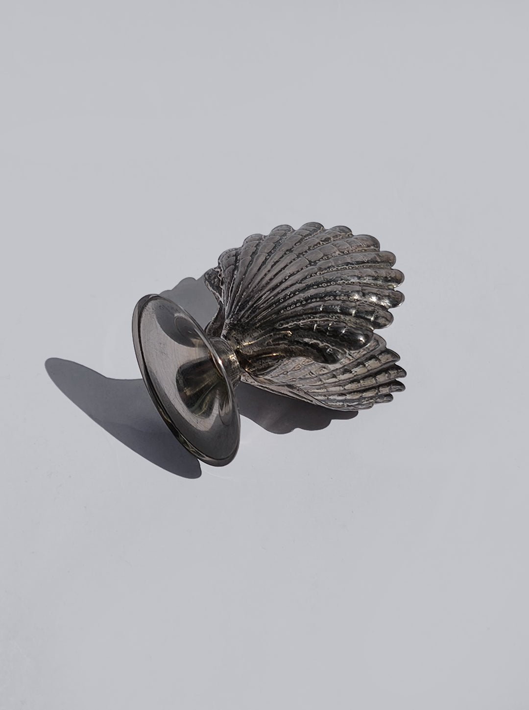 Small Shell Card Holder — side angle