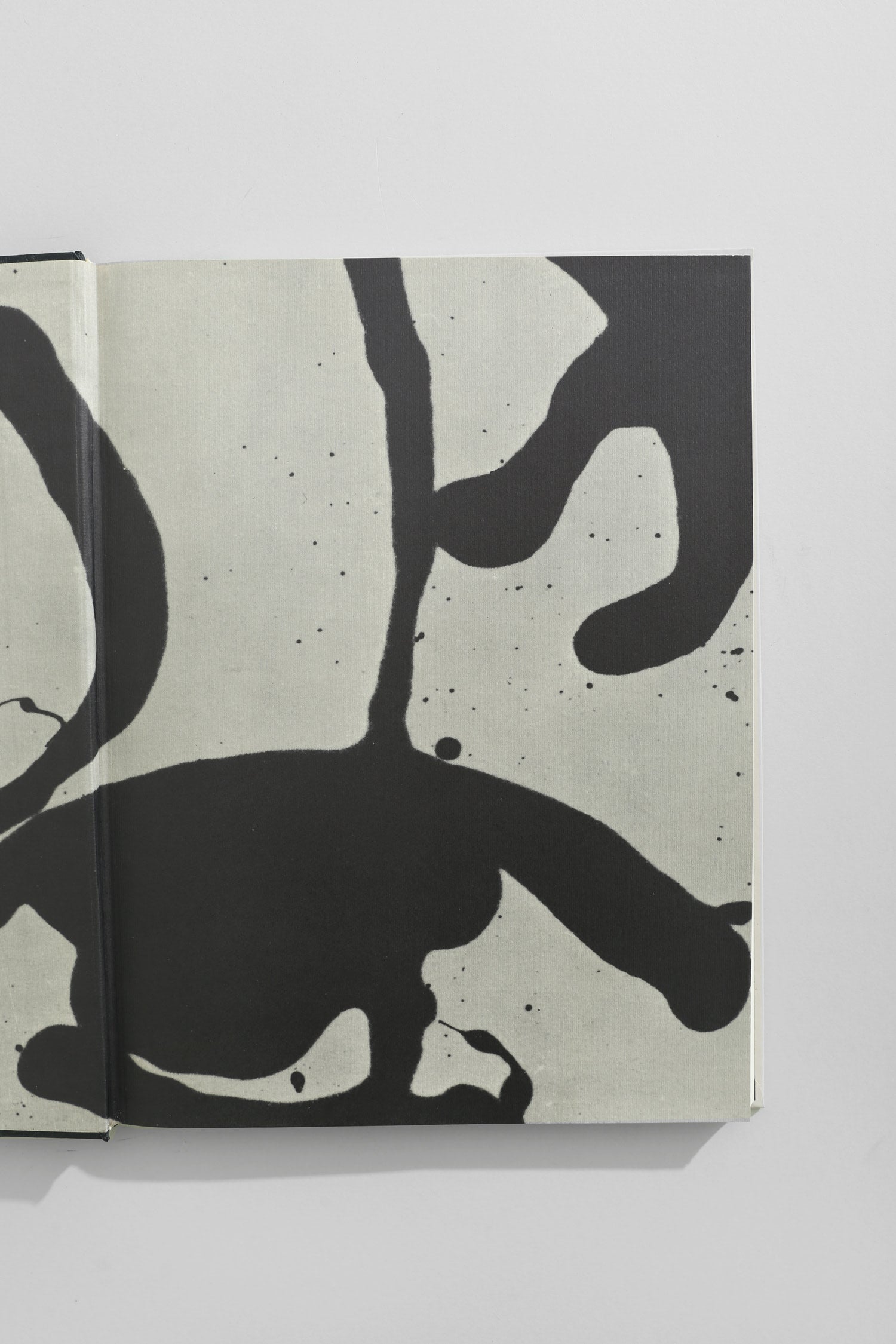 American Painting 1900-1970 Book — side angle