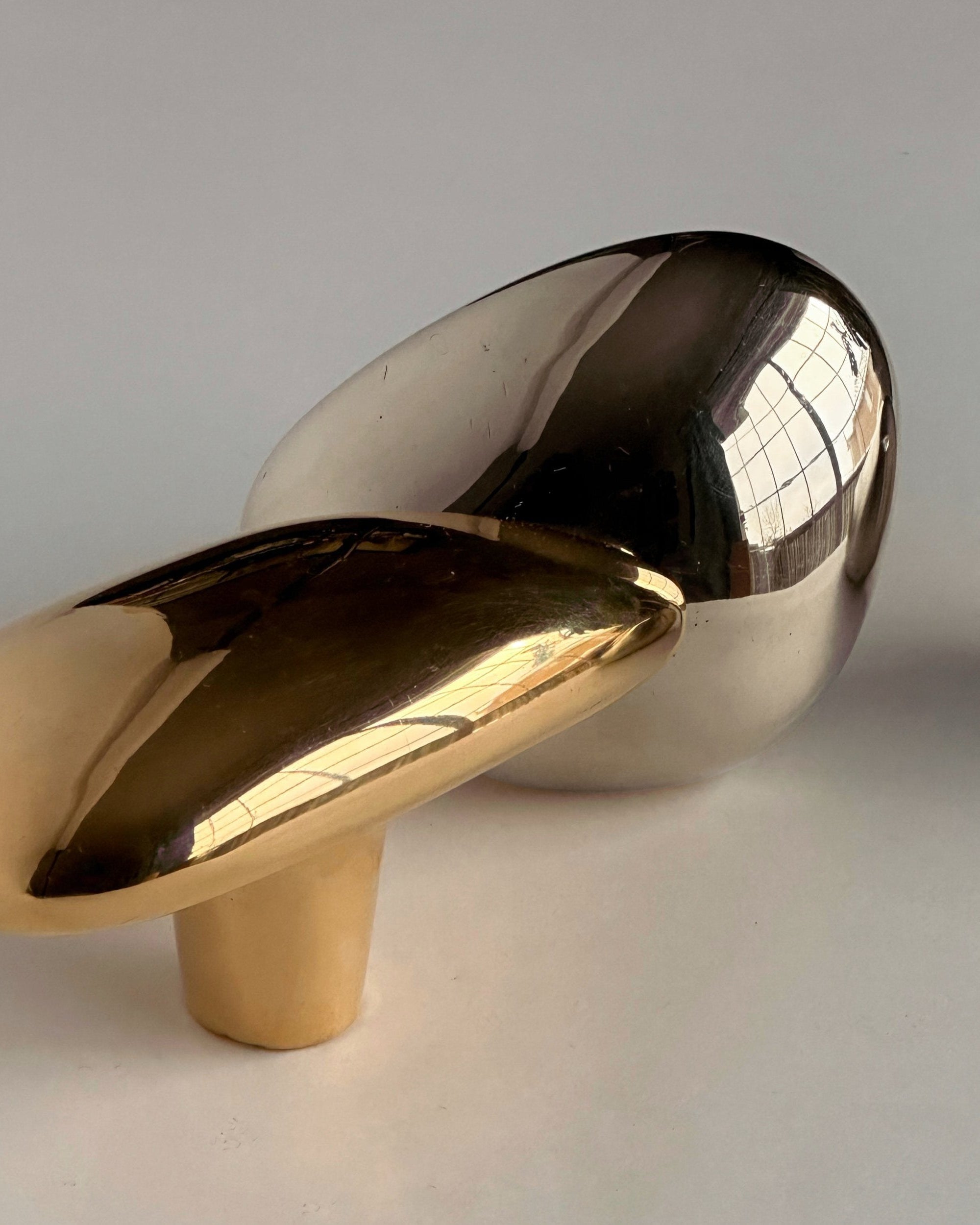 MOMI Cabinet Knob/Wall Hook Short — close-up of shiny brass and silver surfaces