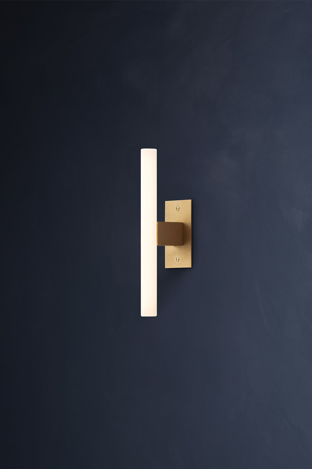NEA WALL PLATE 30 — close-up