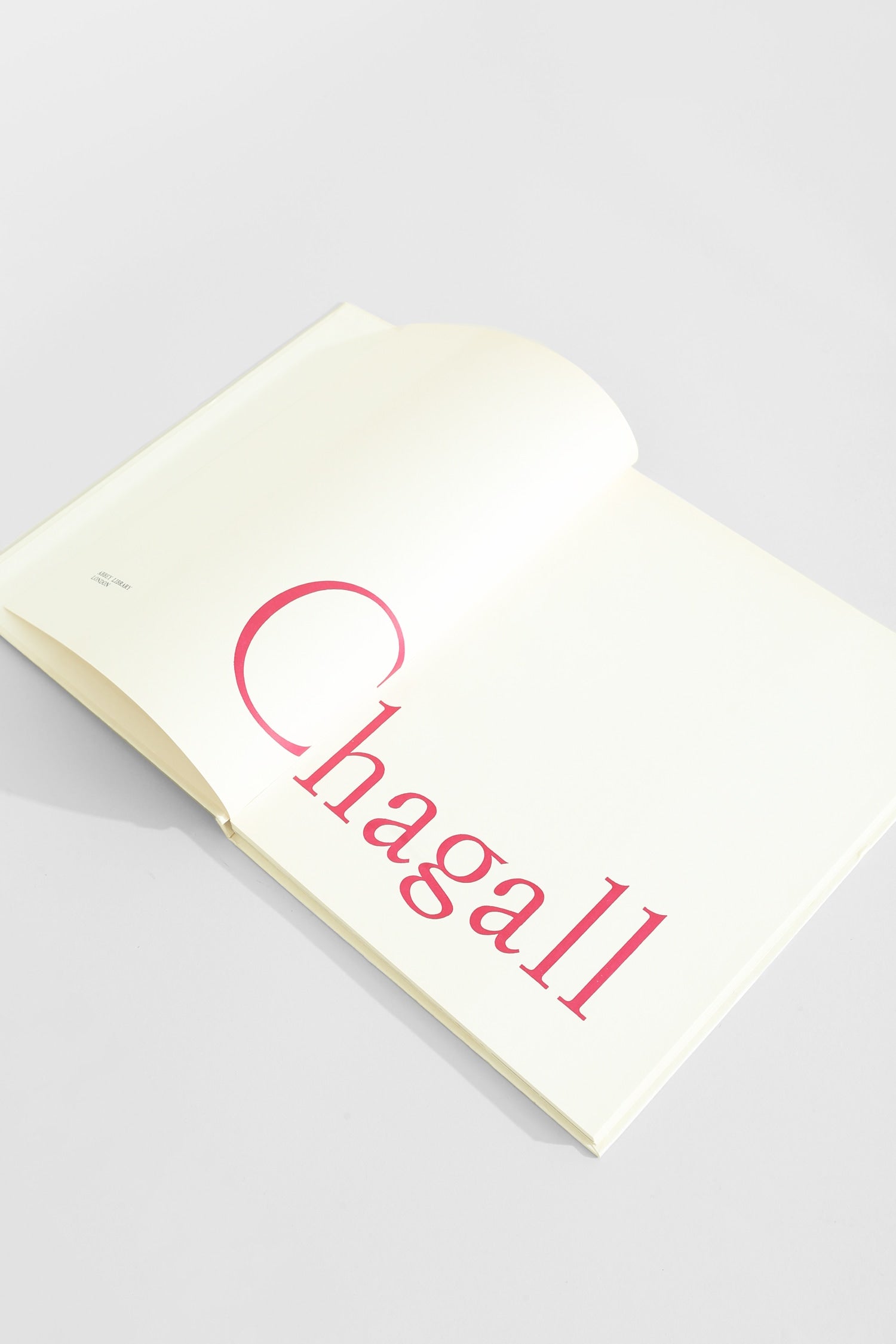 Chagall Book — detail view
