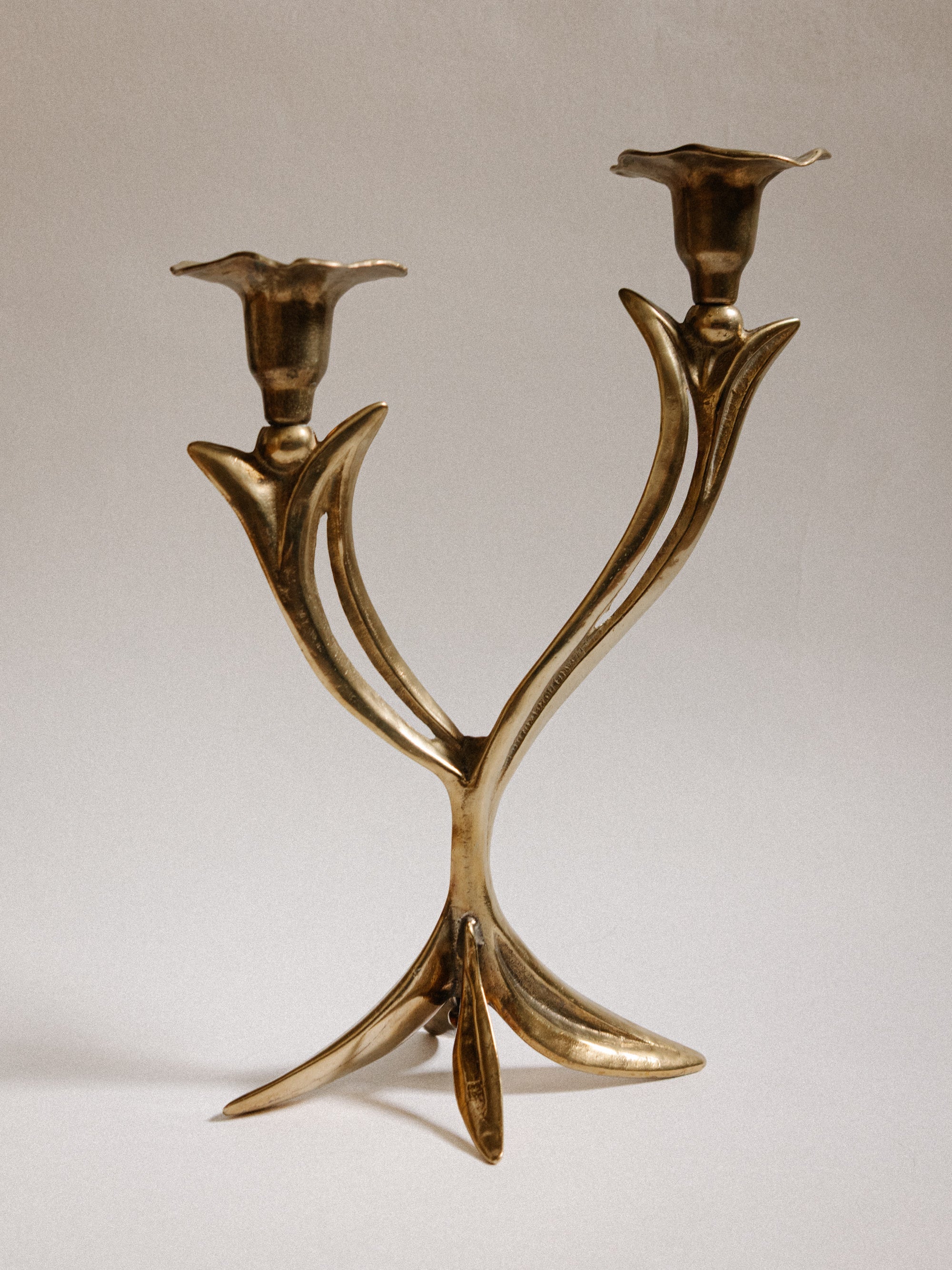 French Organic Flora Brass Candleholder — lifestyle setting
