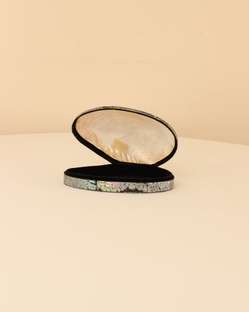 Shell Jewelry Box by Boga Avante Shop | The Oblist