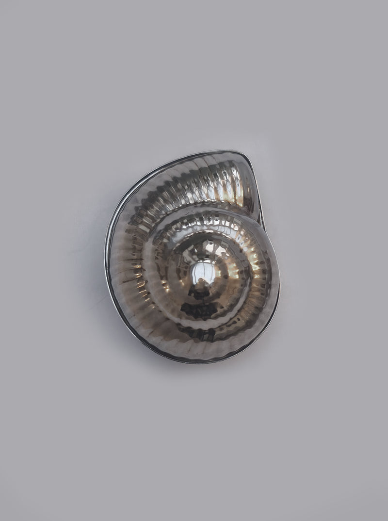 Silver-plated Shell Box by Les Objoies | The Oblist