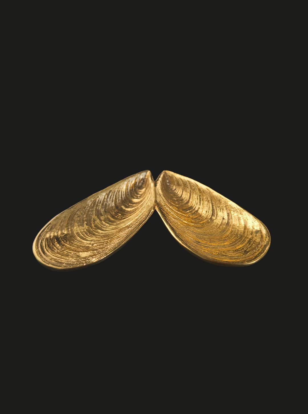 Brass Shell Vide Poche — close-up of textured brass surface