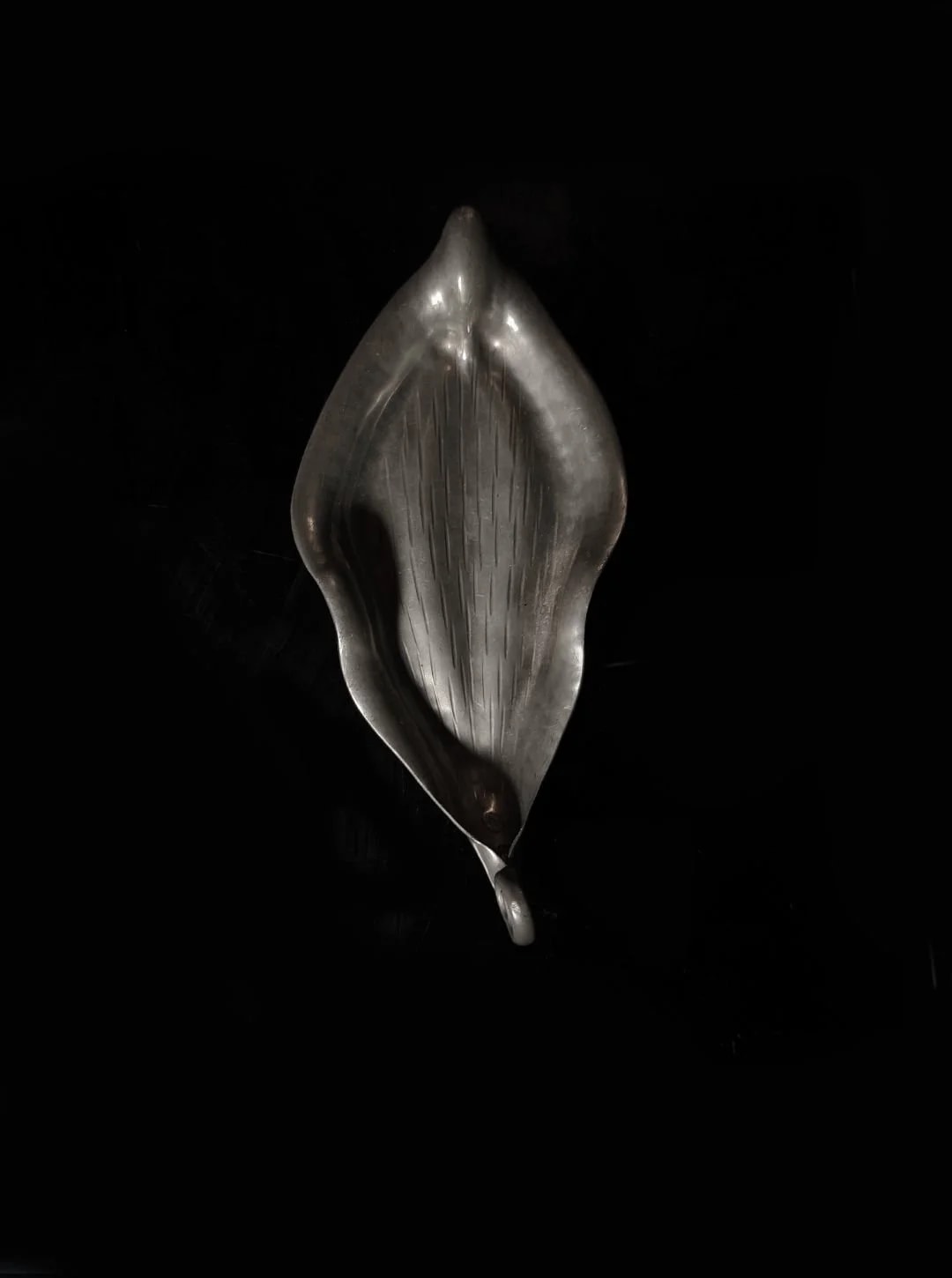 Pewter Leaf Vide Poche — back view highlighting textured surface