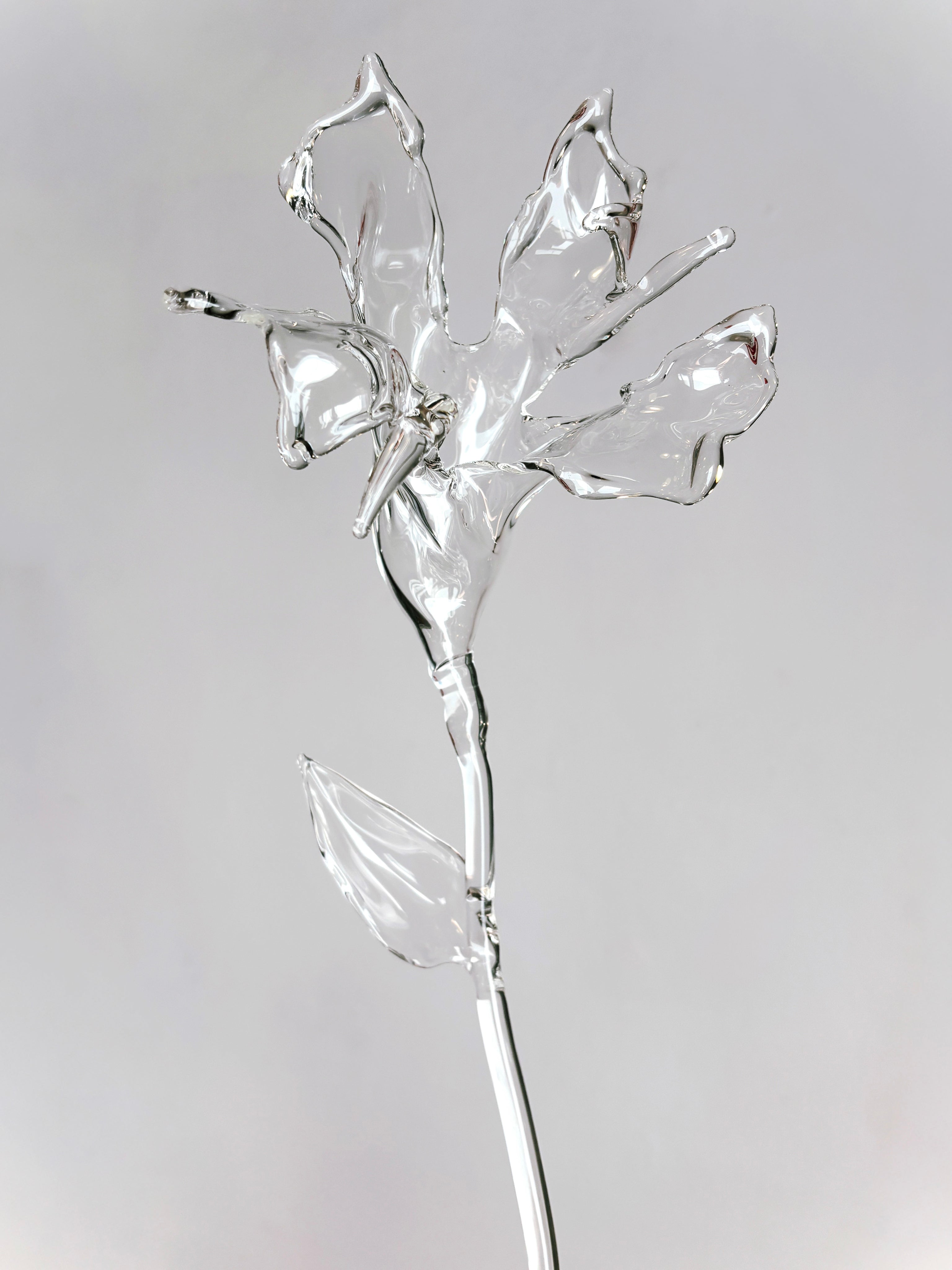 Glass Flower Organic Sculpture — side angle