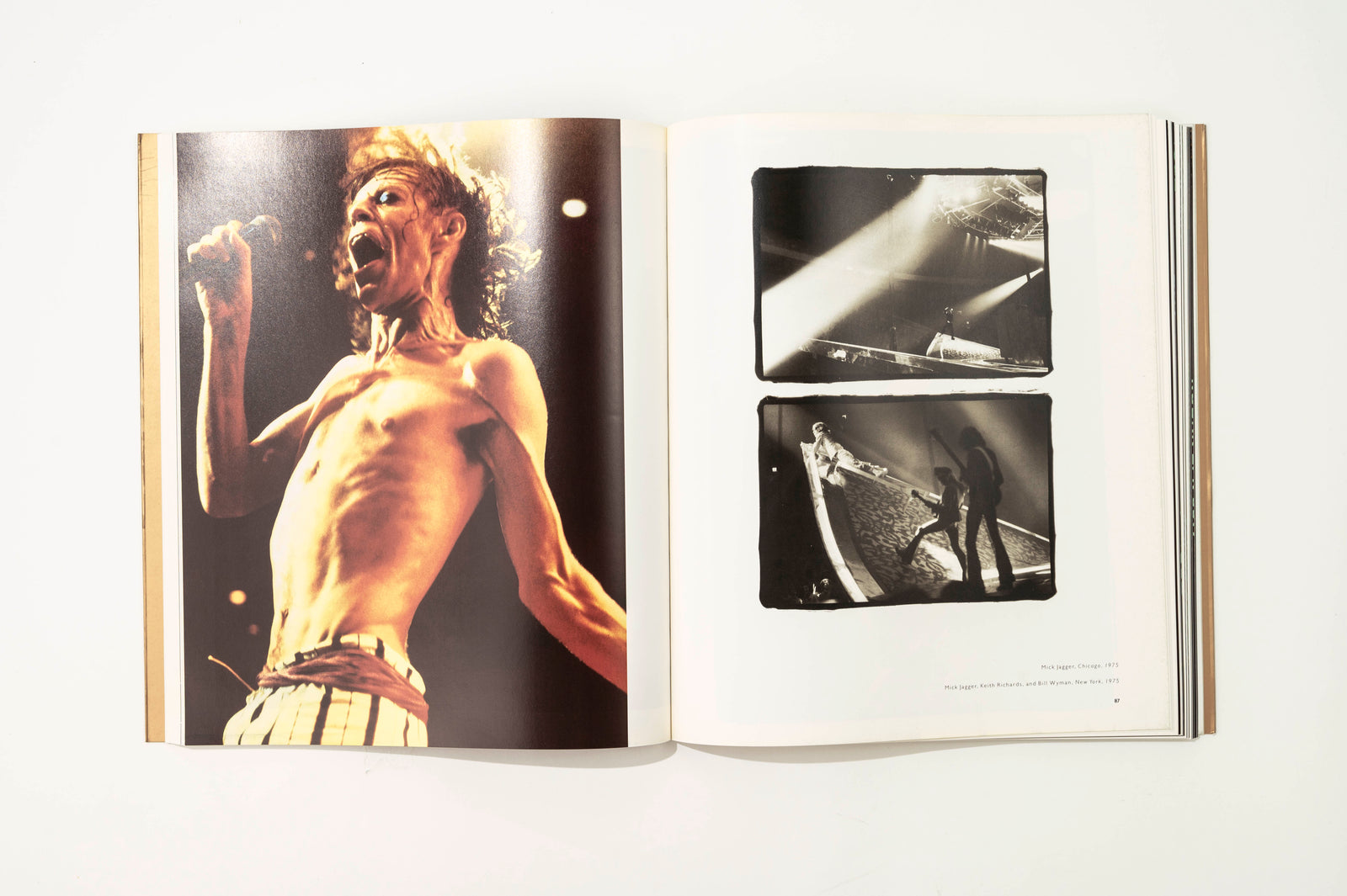 Annie Leibovitz: Photographs 1970-1990, 1992 Art Book — close-up