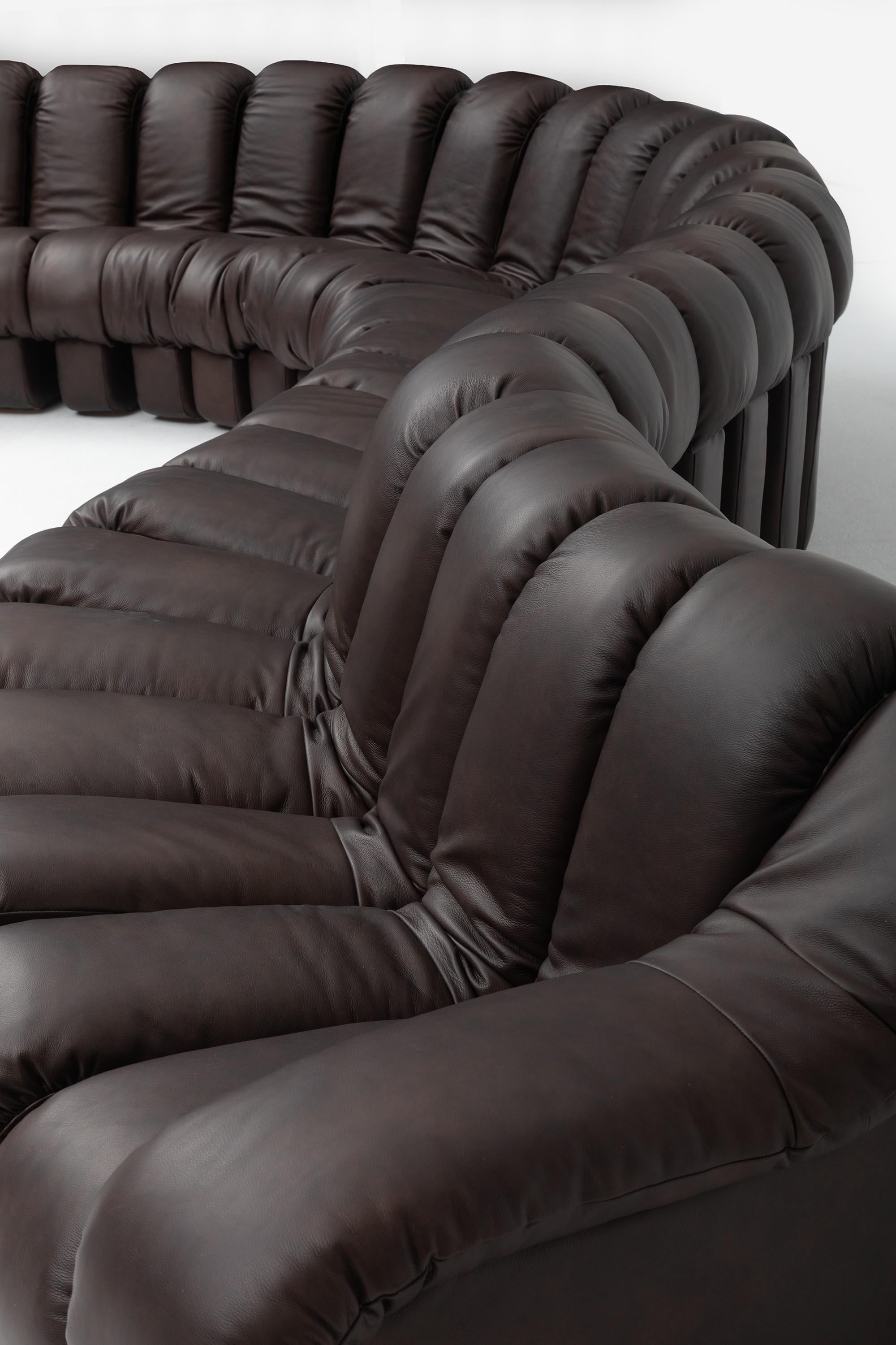 De Sede DS-600 'Snake' Sofa by Ueli Berger, Customised in Chocolate Nubuck — view 9