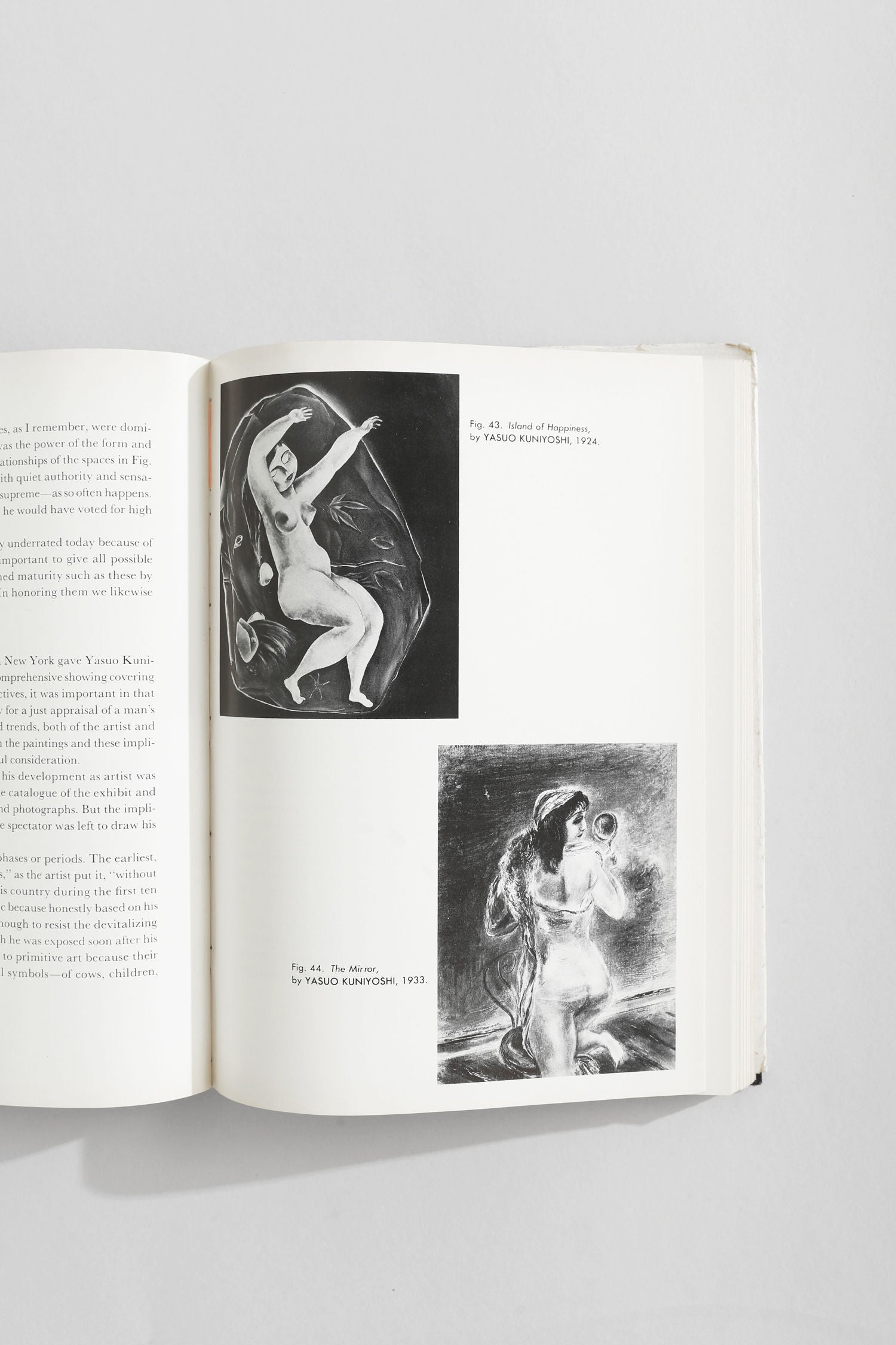 The Modern Renaissance in American Art Book